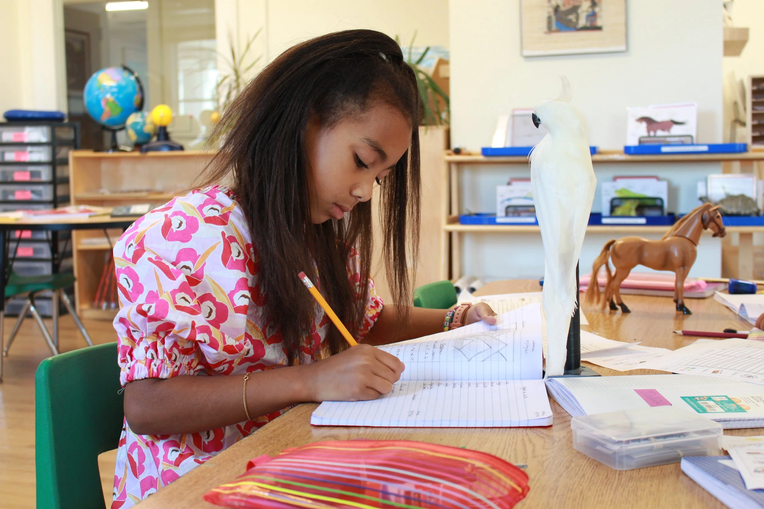 Latin American Montasori Bilingual Charter Public School