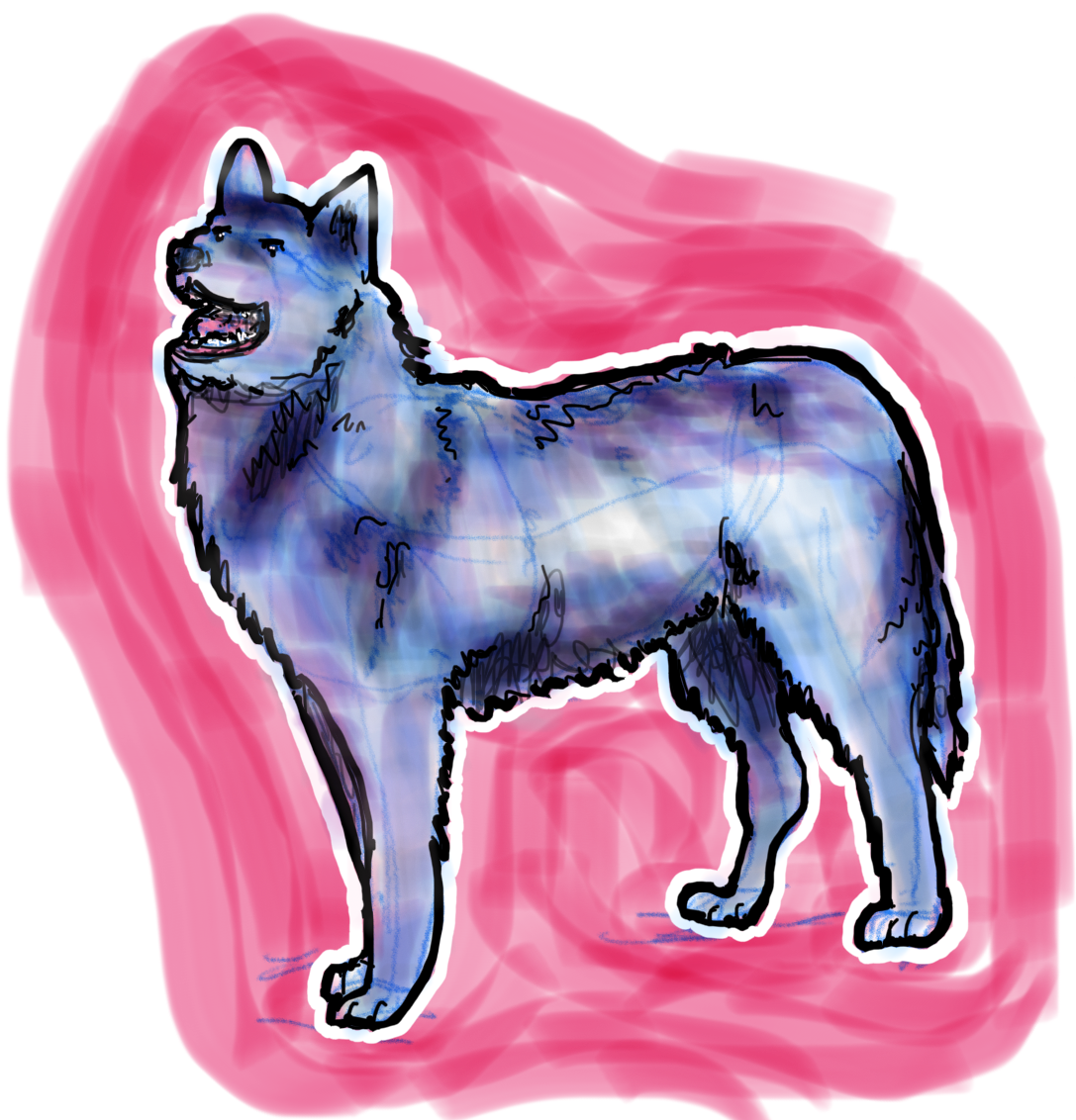 Lesson_6_Husky_3.png
