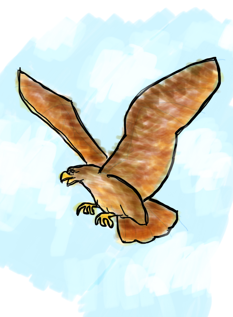 Hawk.png