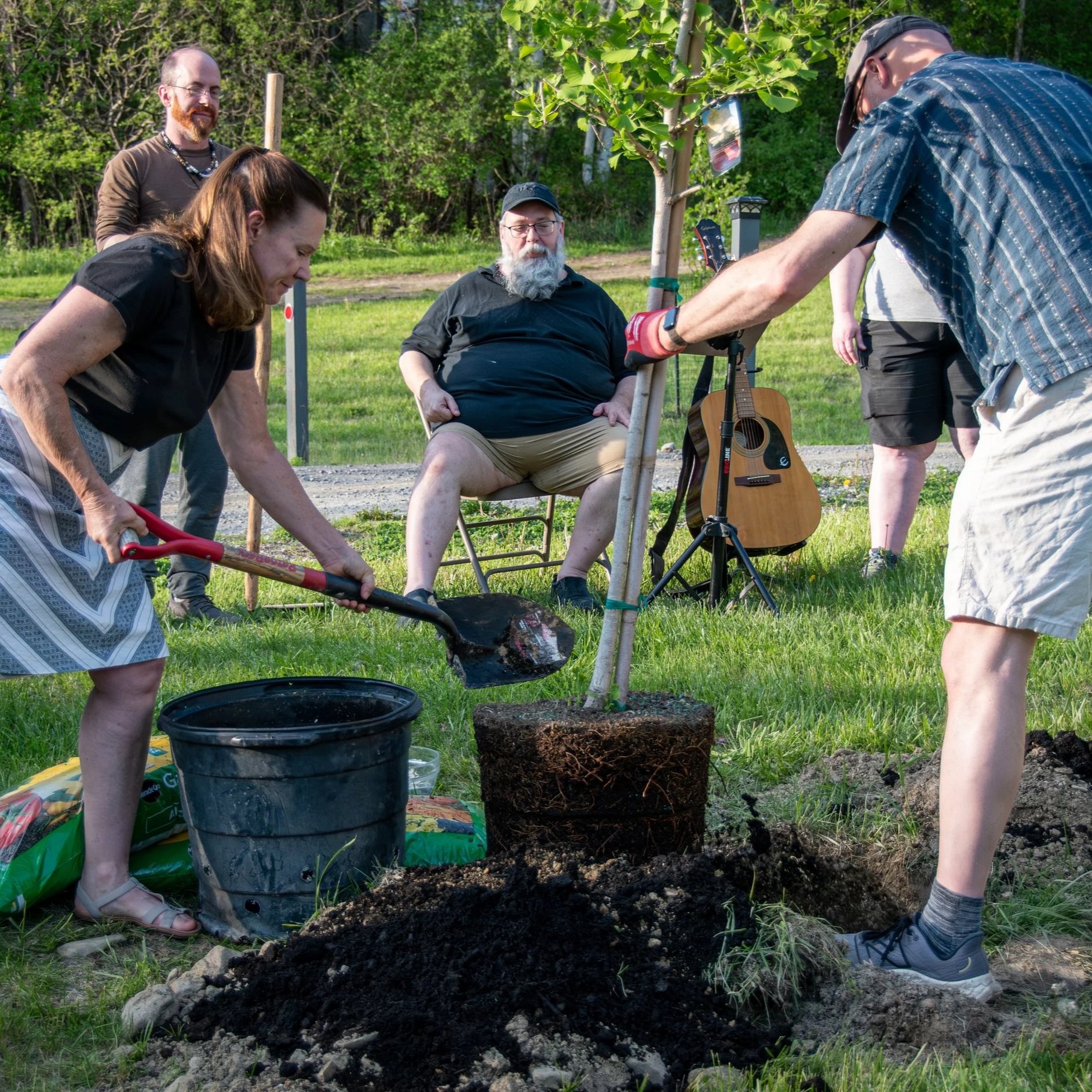 Group of people planting a young tree in a park or garden on a sunny day.