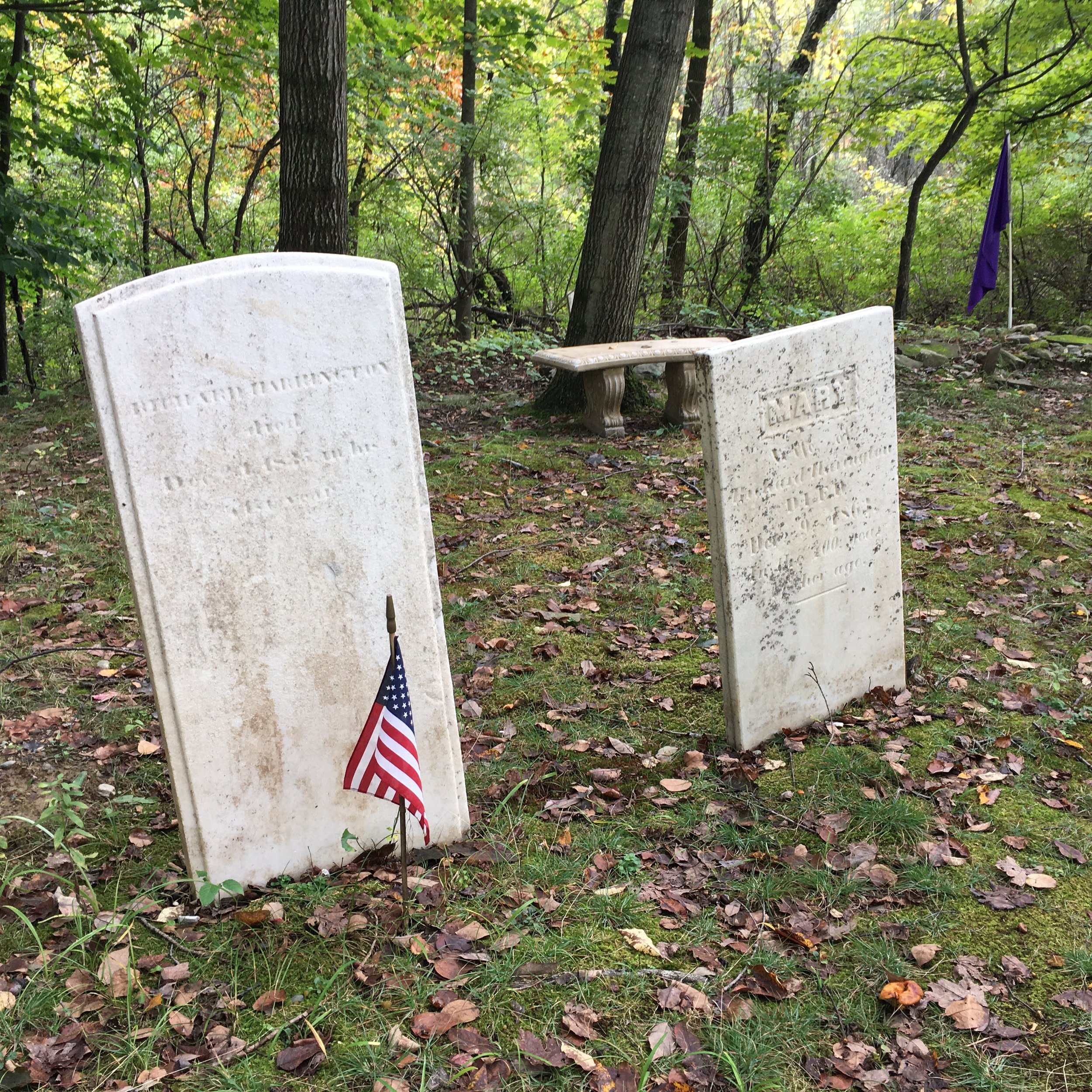 Two weathered white headstones in a wooded cemetery, with an American flag at the base of the left headstone. A purple flag is visible in the background.