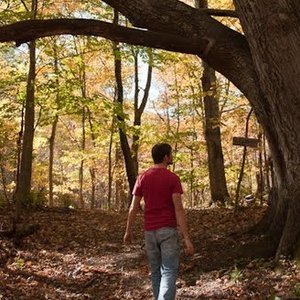 Person walking through a wooded forest during autumn, with tall trees and sunlight filtering through leaves.