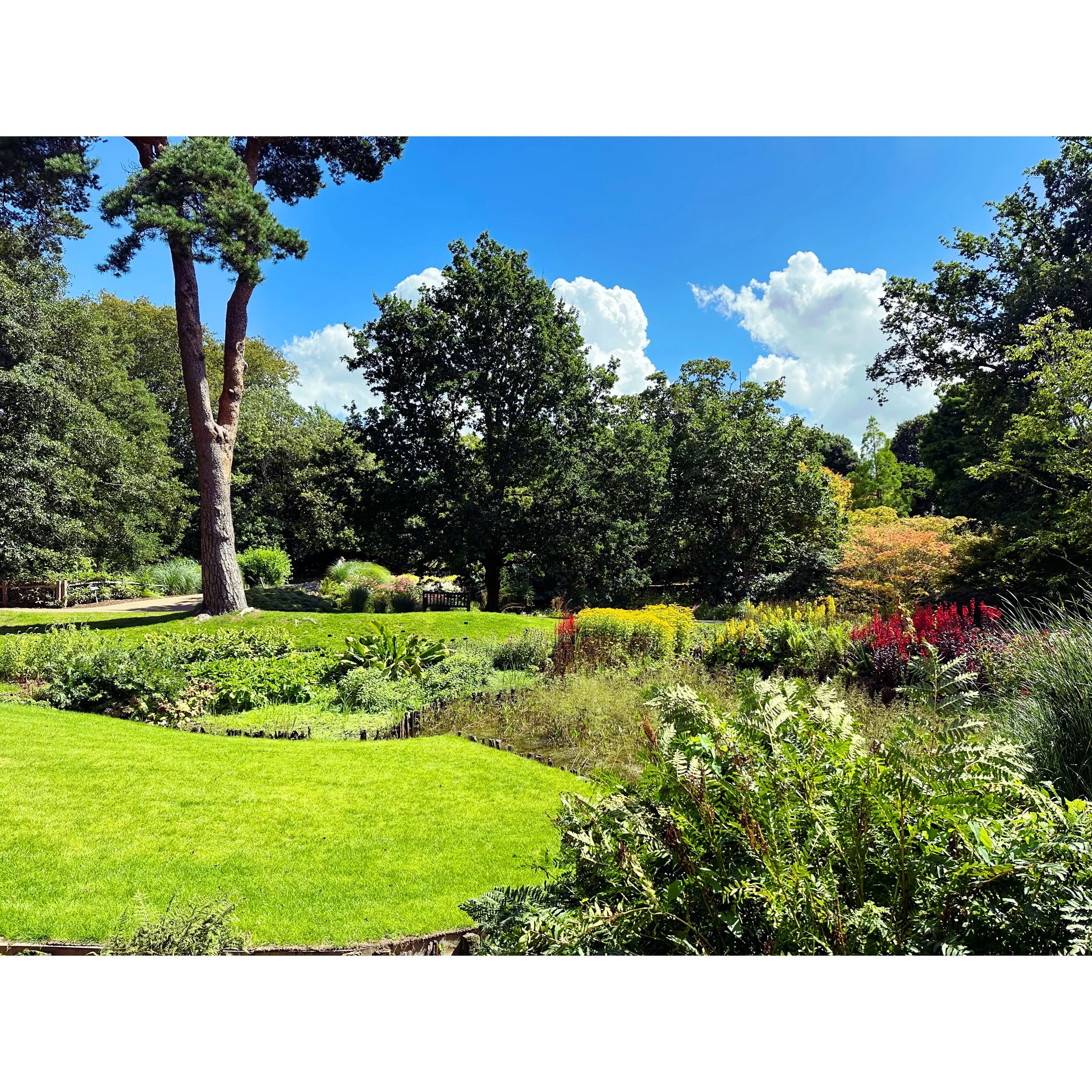 Breathing: You might not be doing it right. 