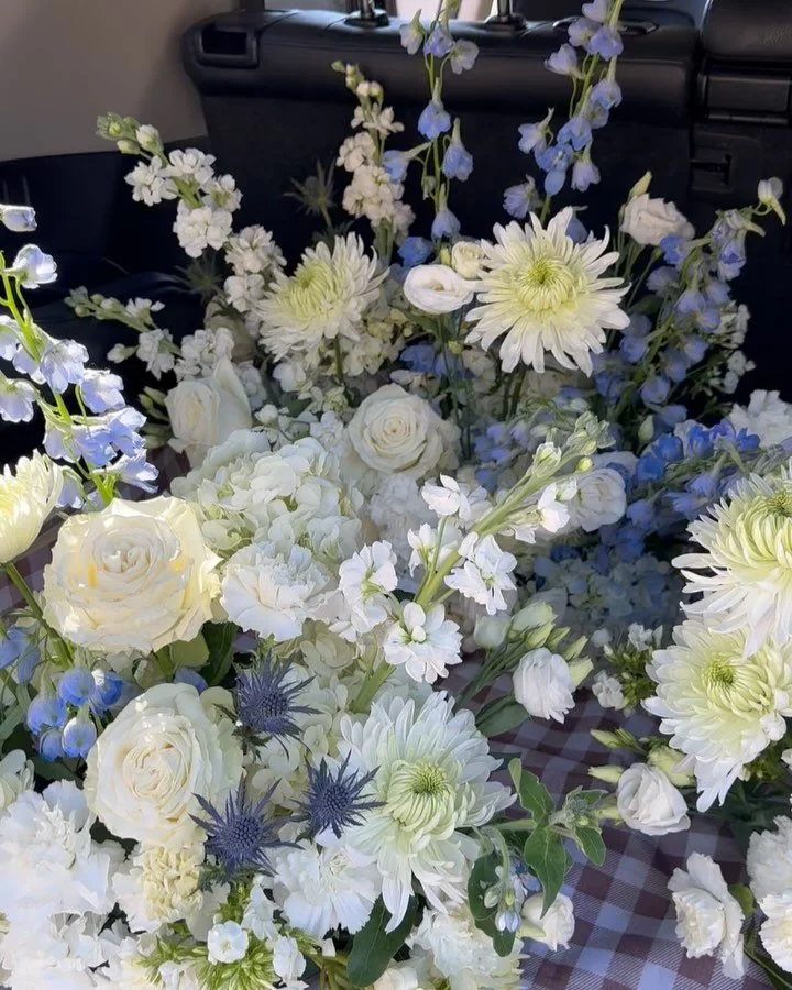 blues in the winter > ✨🦢🦋🪽🧊✨