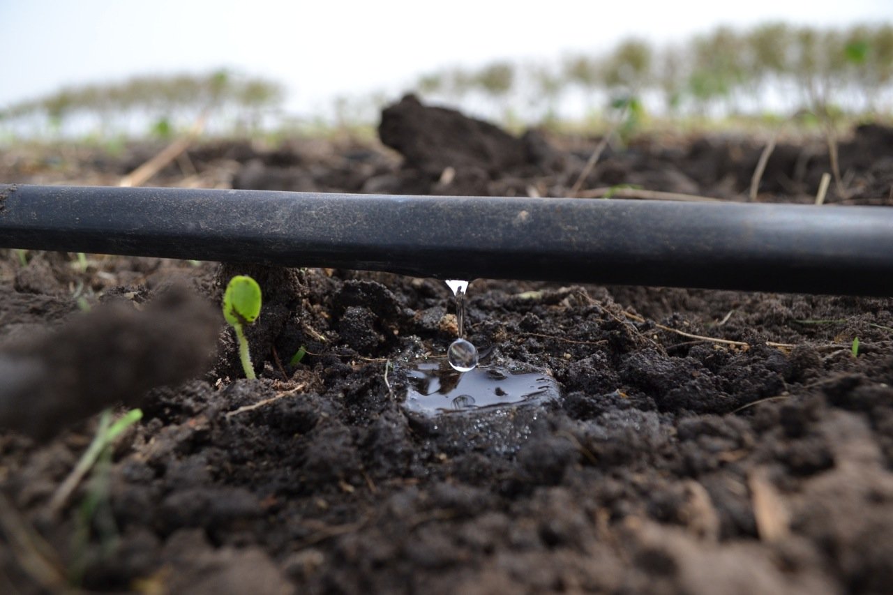 Agua, Energía y Rentabilidad: Cómo el Riego y la Sostenibilidad Van de la Mano