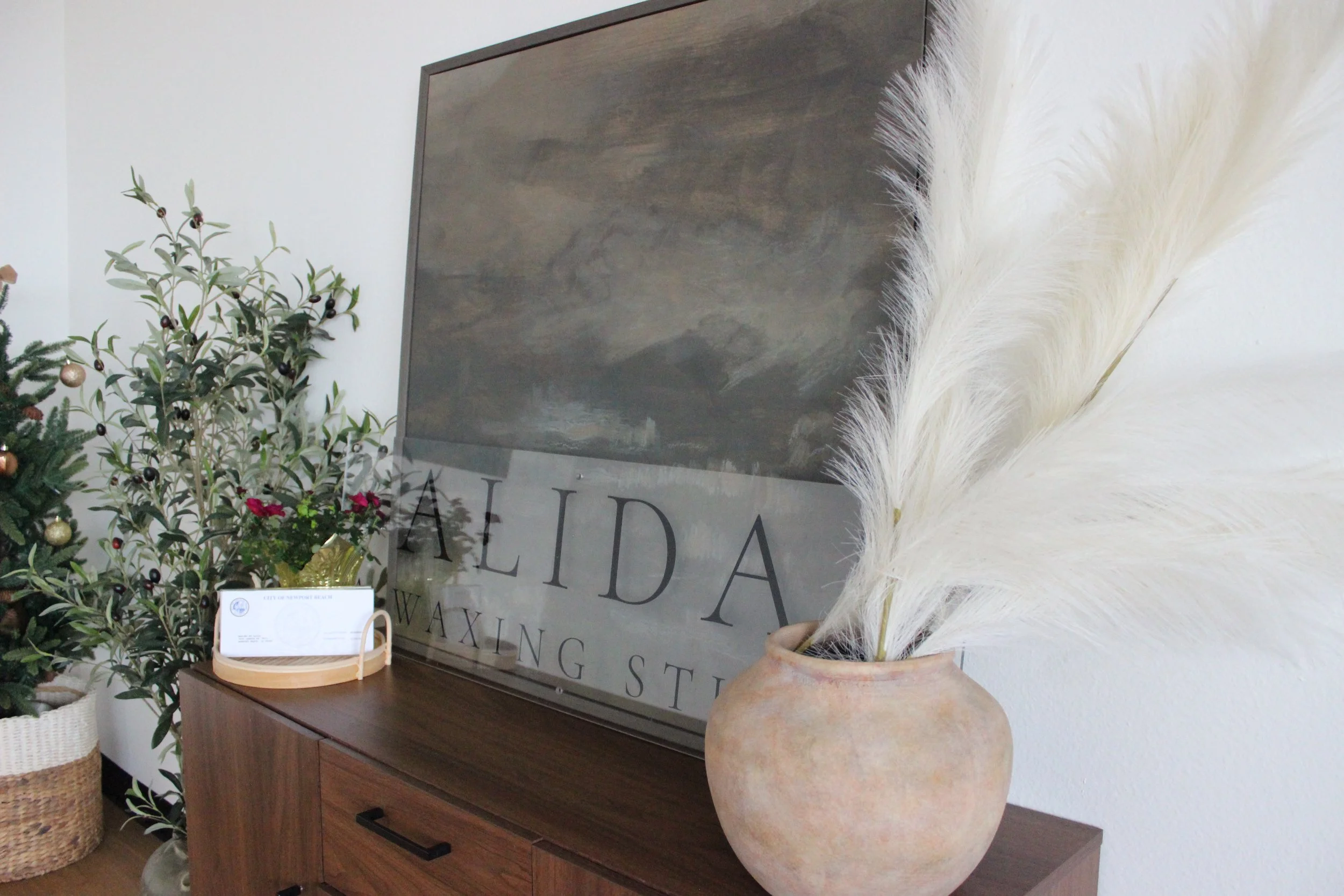 Picture of a potted plant and sign that says "ALIDA a waxing studio". The sign is propped up against a portrait with brown hues.
