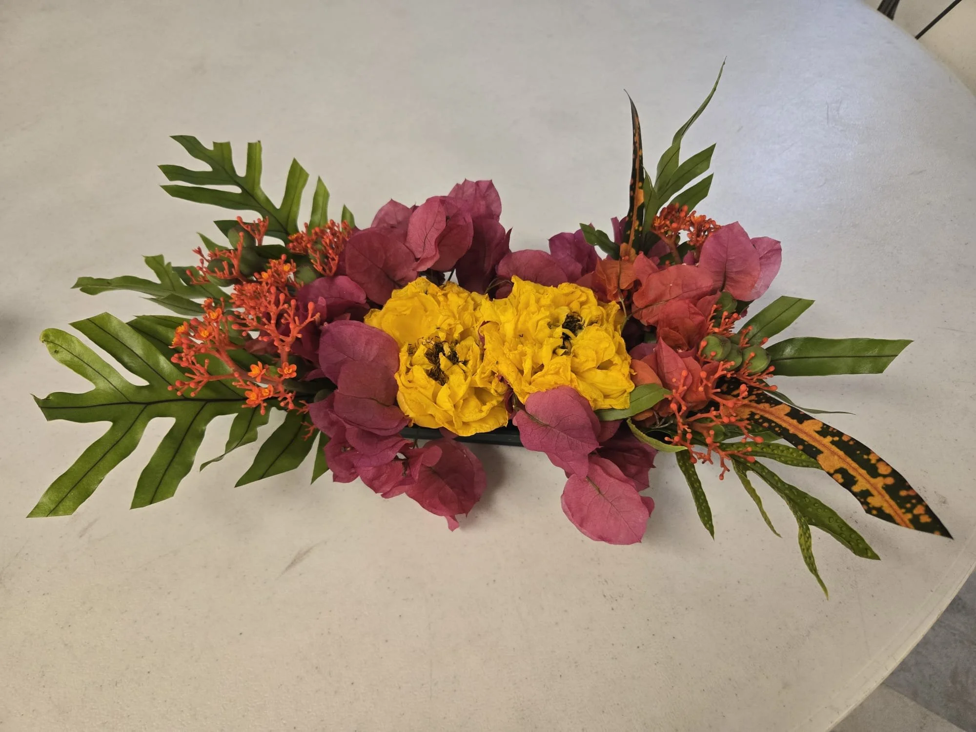 WhatsApp Image 2026-03-03 at 14.42.31 (3).jpeg