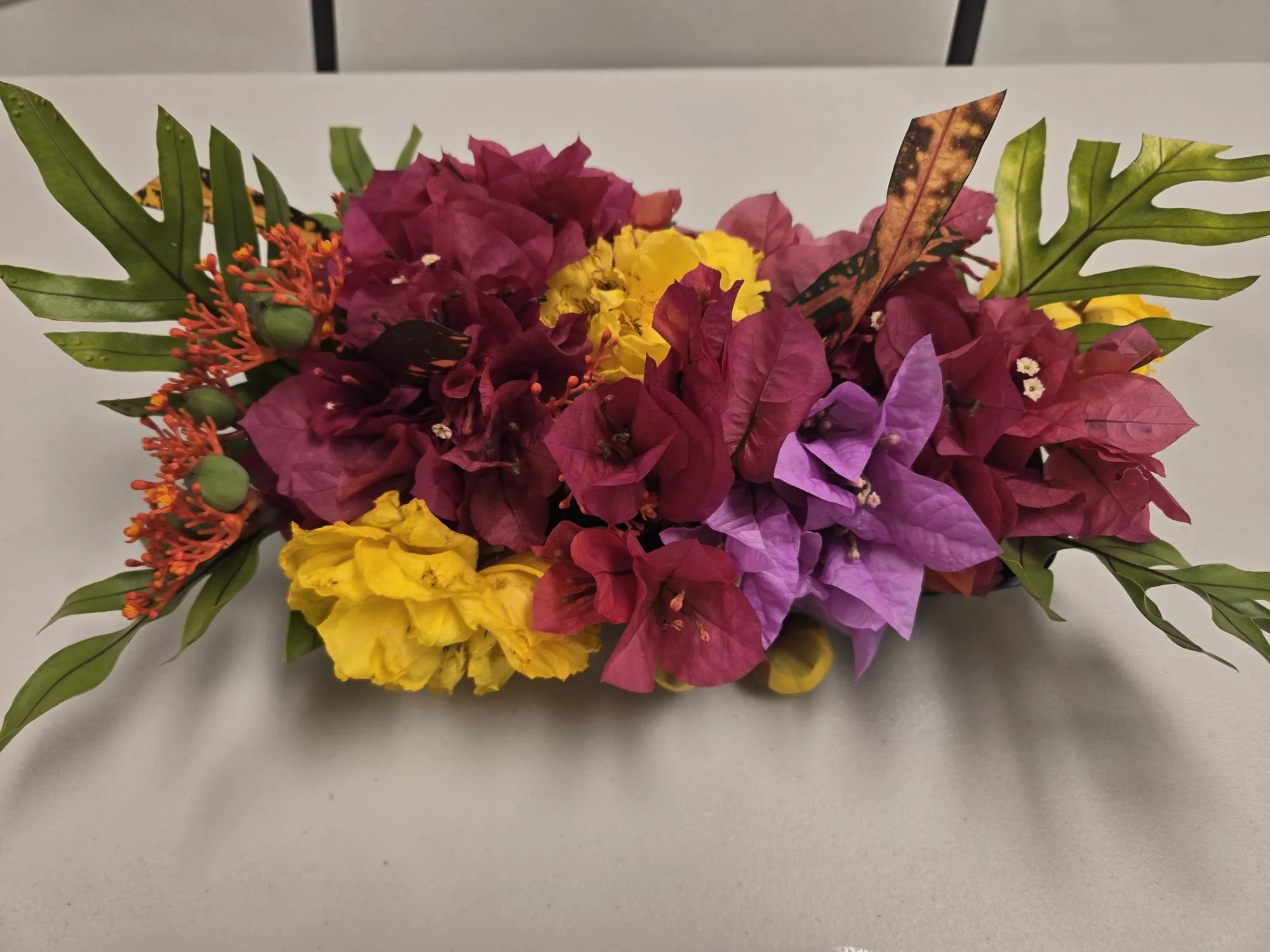 WhatsApp Image 2026-03-03 at 14.42.31.jpeg