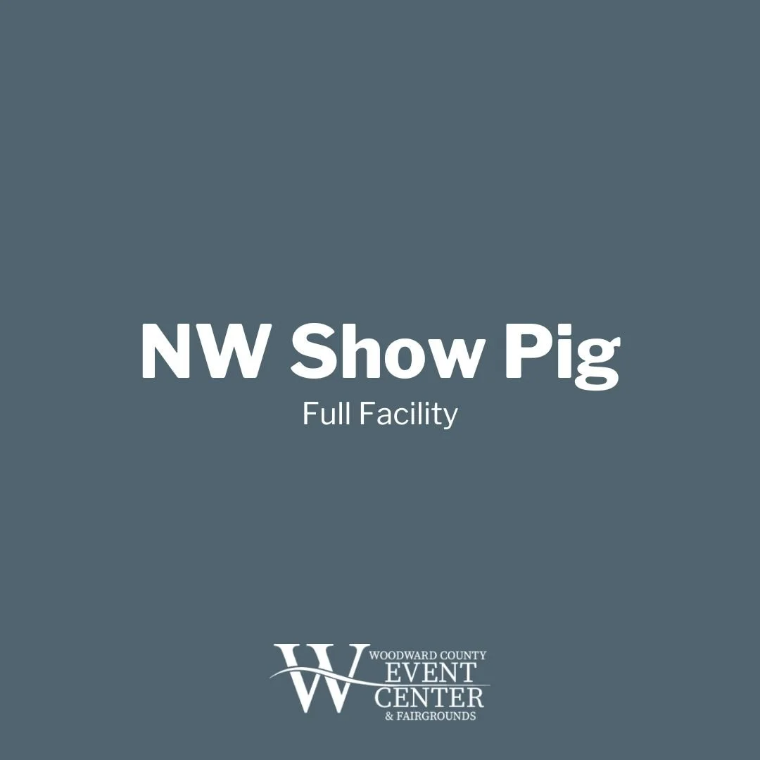 NW Show Pig 