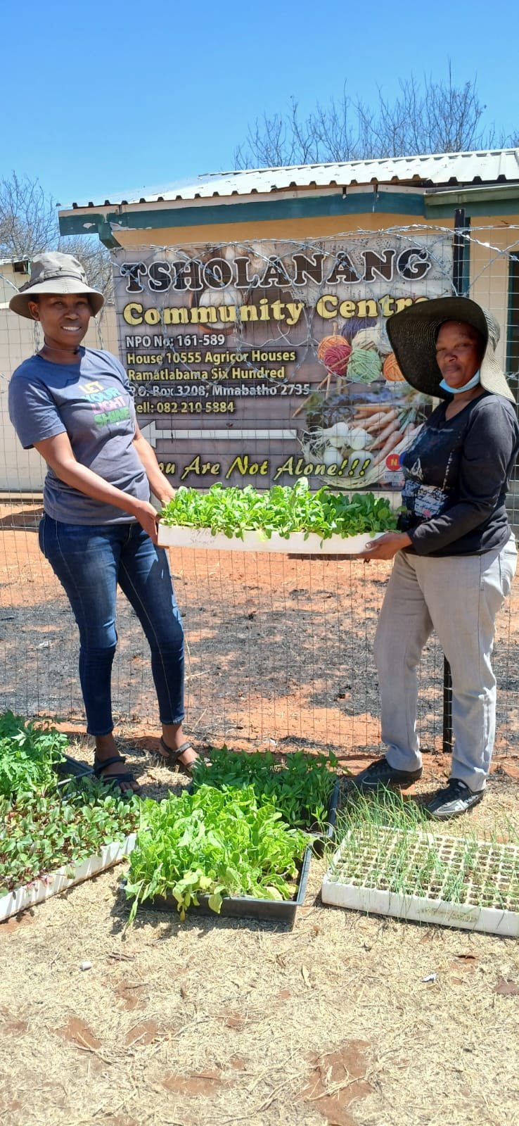 Postcard Story 6.jpeg