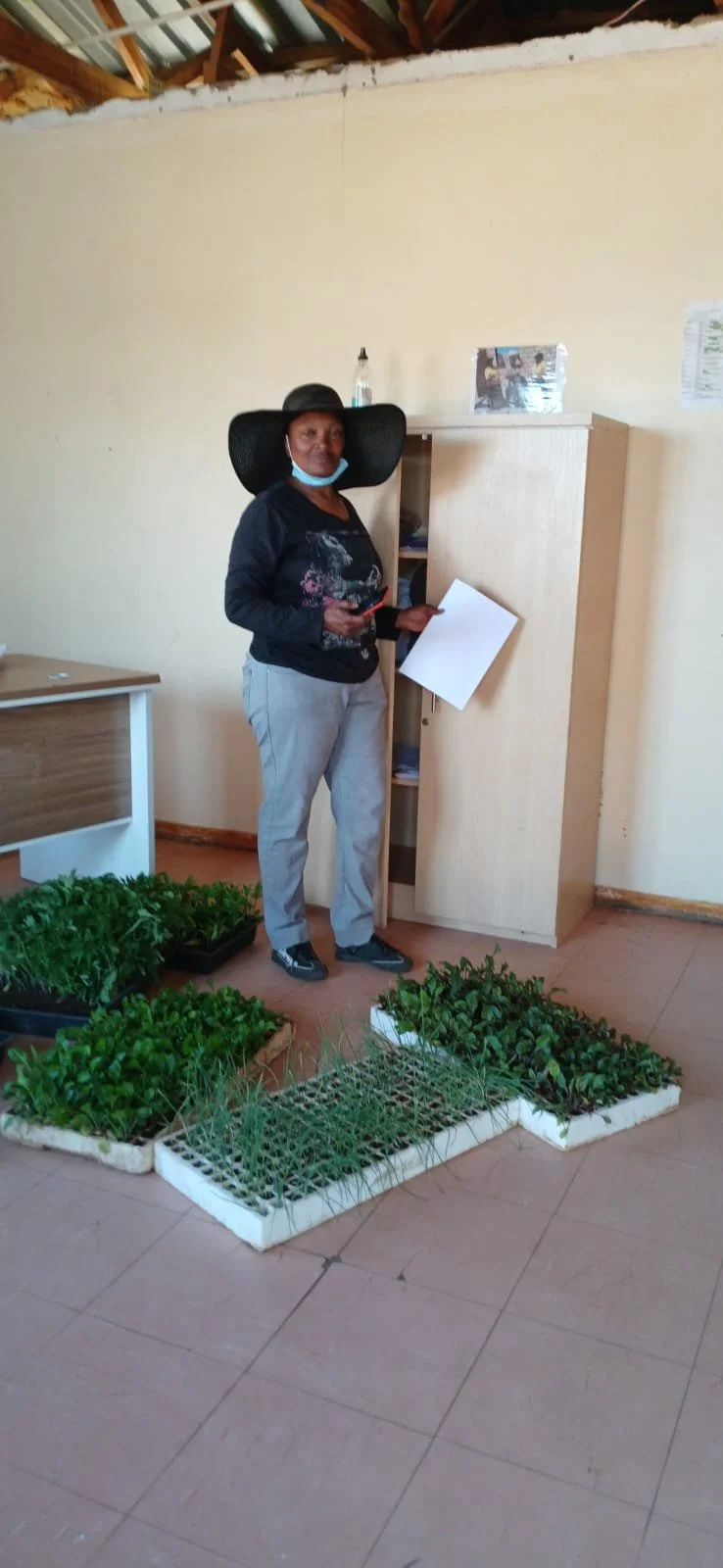 Postcard Story 13.jpeg