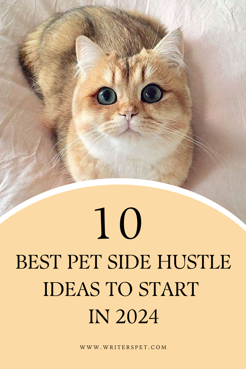 10 Most Profitable Pet Side Hustle Ideas to Start in 2024 — Writer's Pet