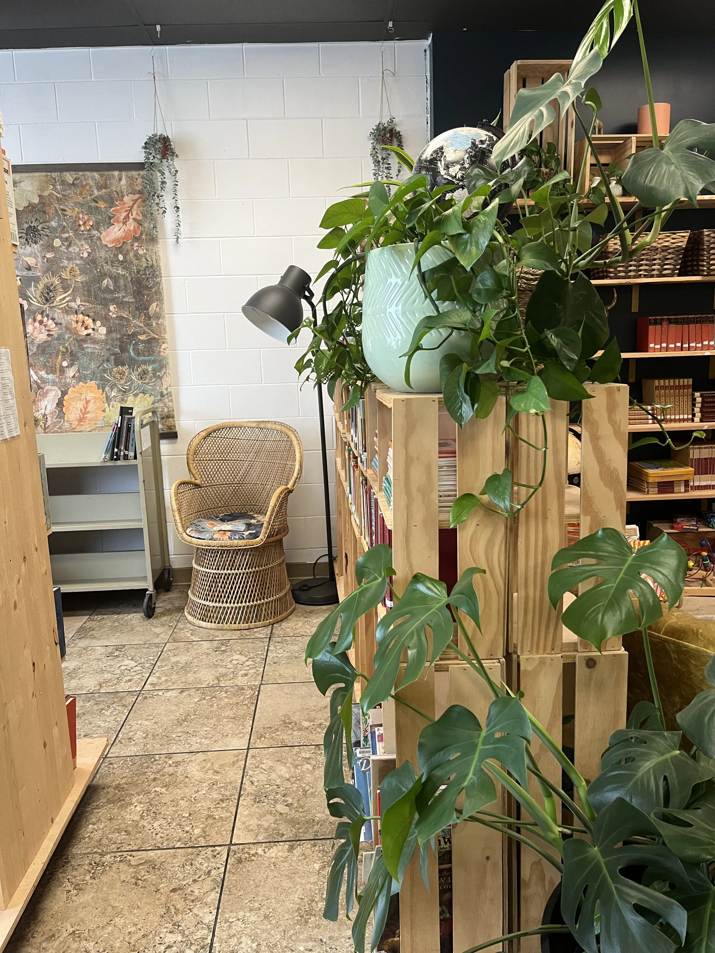 Video: Educating a Neurodivergent Child with CM Principles