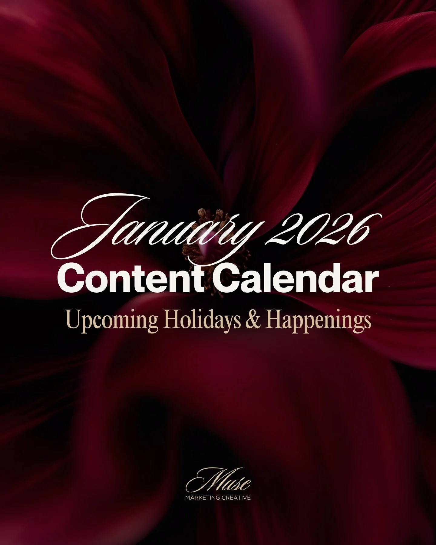An outline from me to you to guide your content this month! Capitalize on whichever holidays and concepts are relevent to your business. Let&rsquo;s aim for excellence this year!

Your muse. Our canvas.
