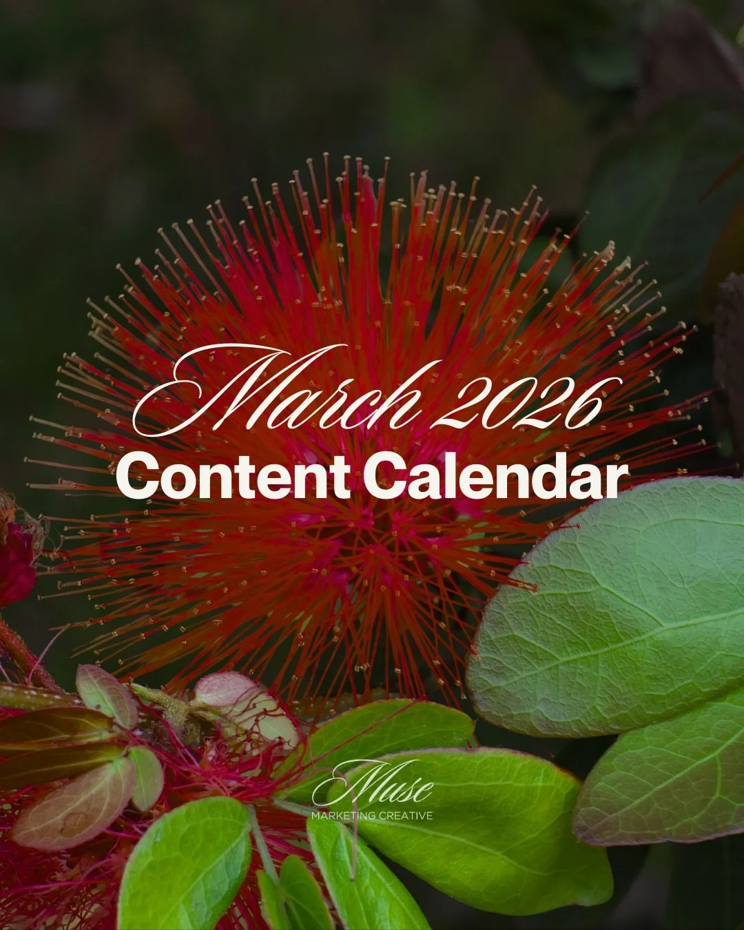 From Women&rsquo;s History Month to International Women&rsquo;s Day, St. Patrick&rsquo;s Day, and the First Day of Spring, this month offers plenty of meaningful moments to create engaging content for your brand.

Save this post so you can stay organ