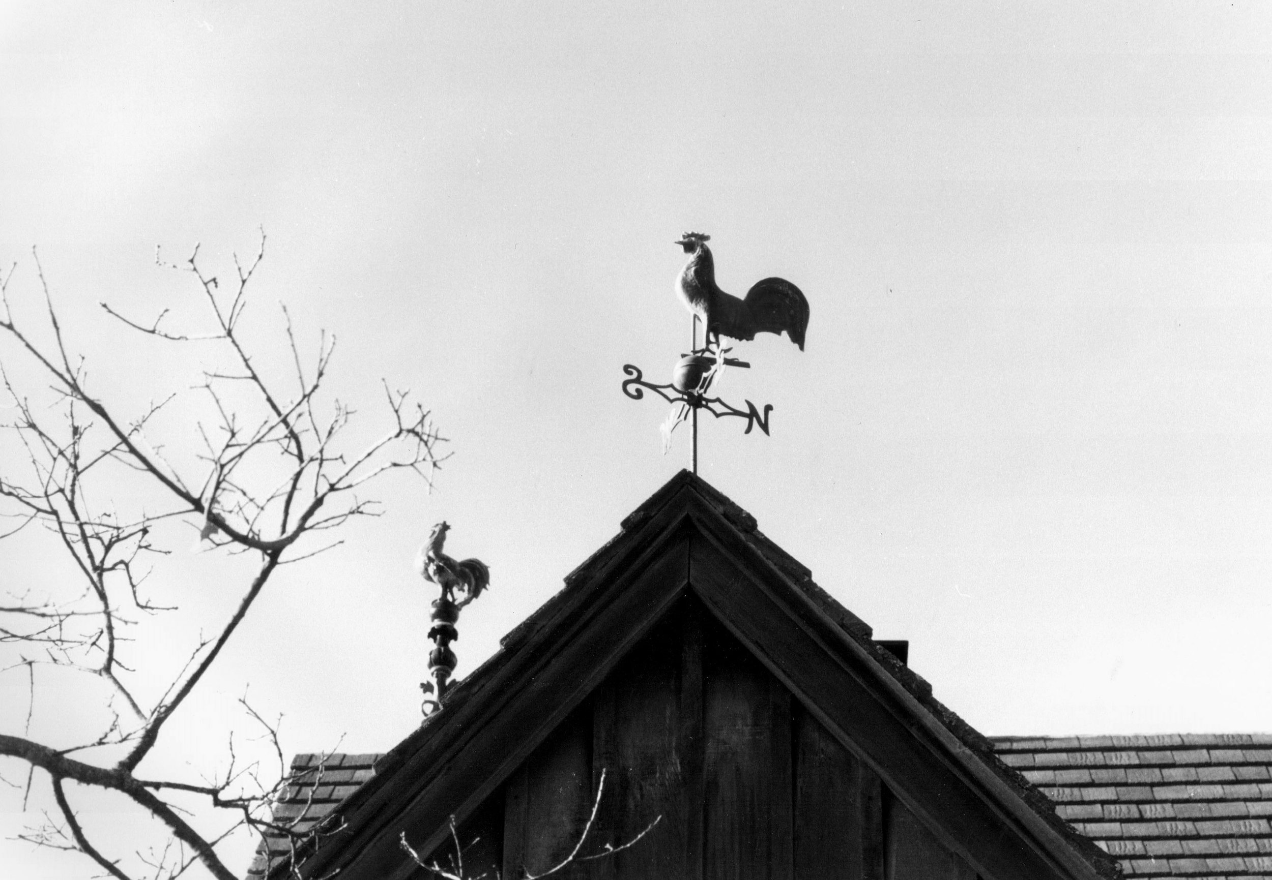 Rooster weathervane on top of Hanzell Winery black and white photo