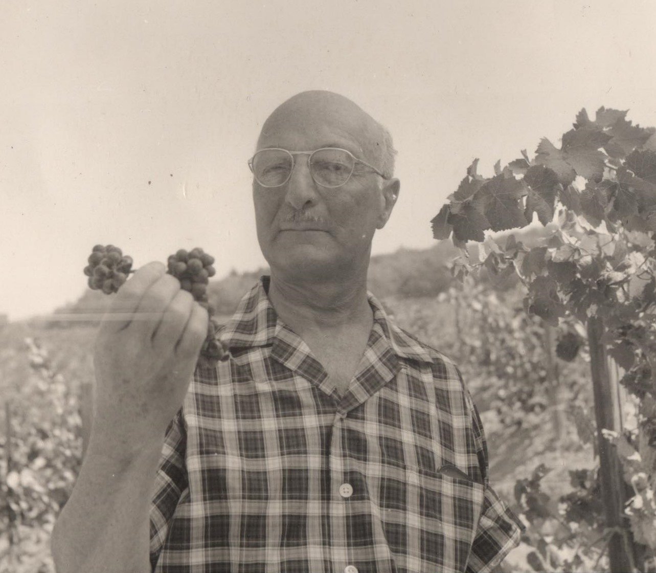 Ambassador Zellerbach holding tiny cluster of Pinot Noir grapes