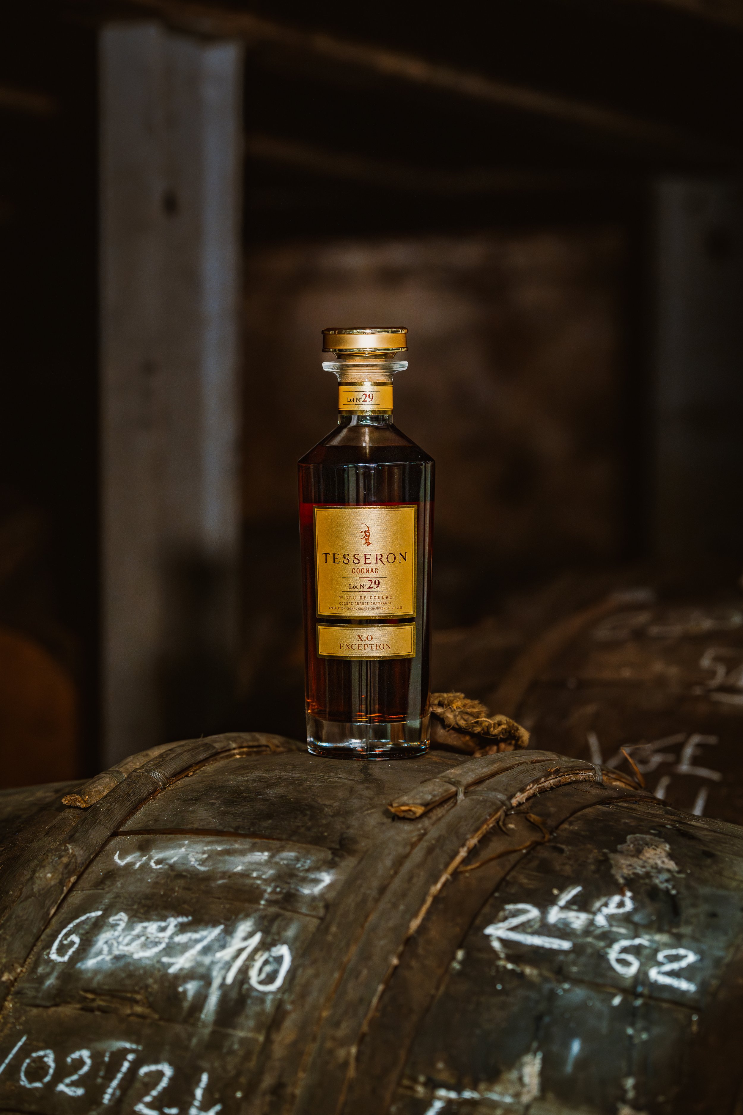 LOT N°29 XO EXCEPTION