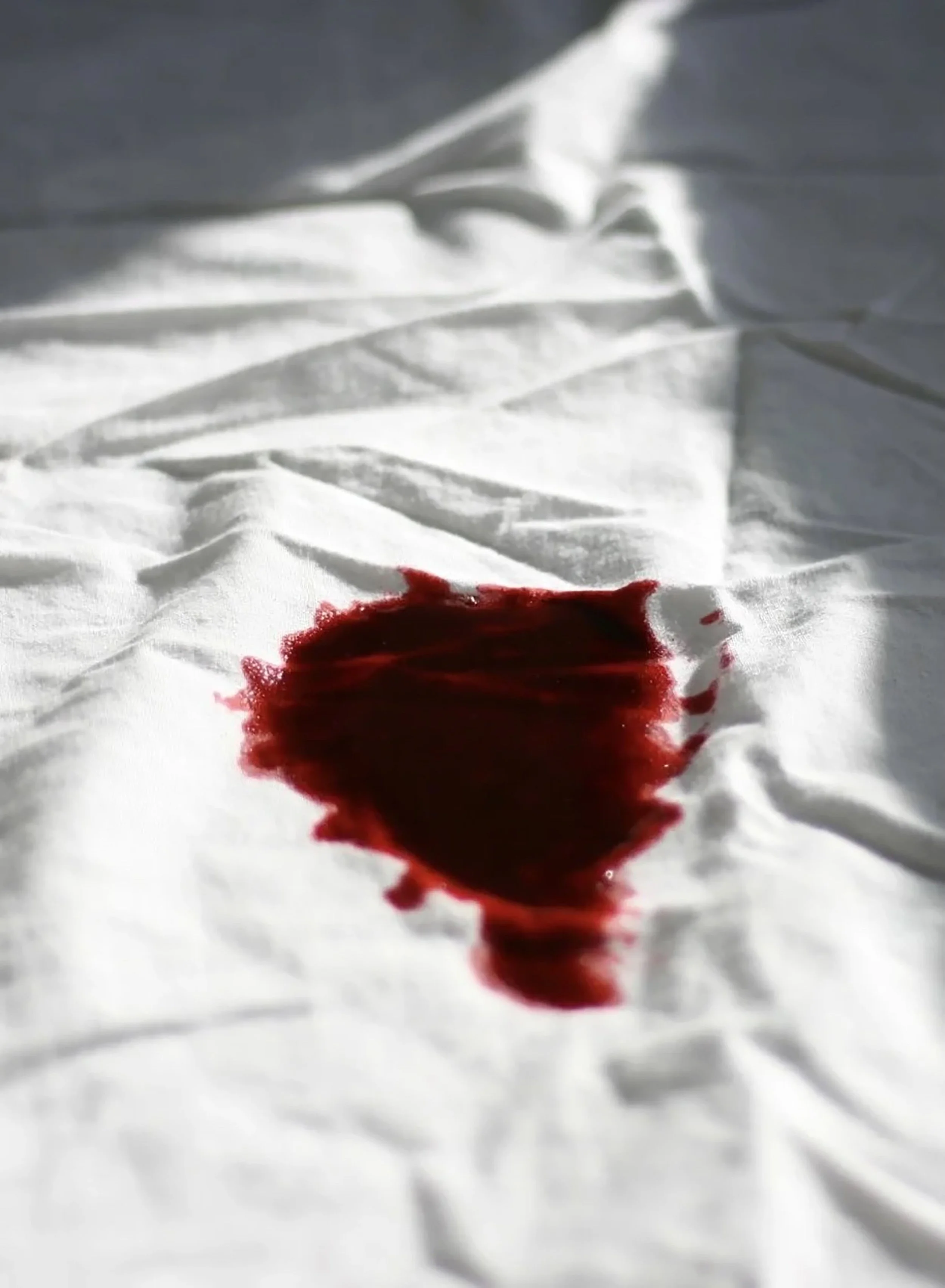 chelsea summers, the sheet.jpg