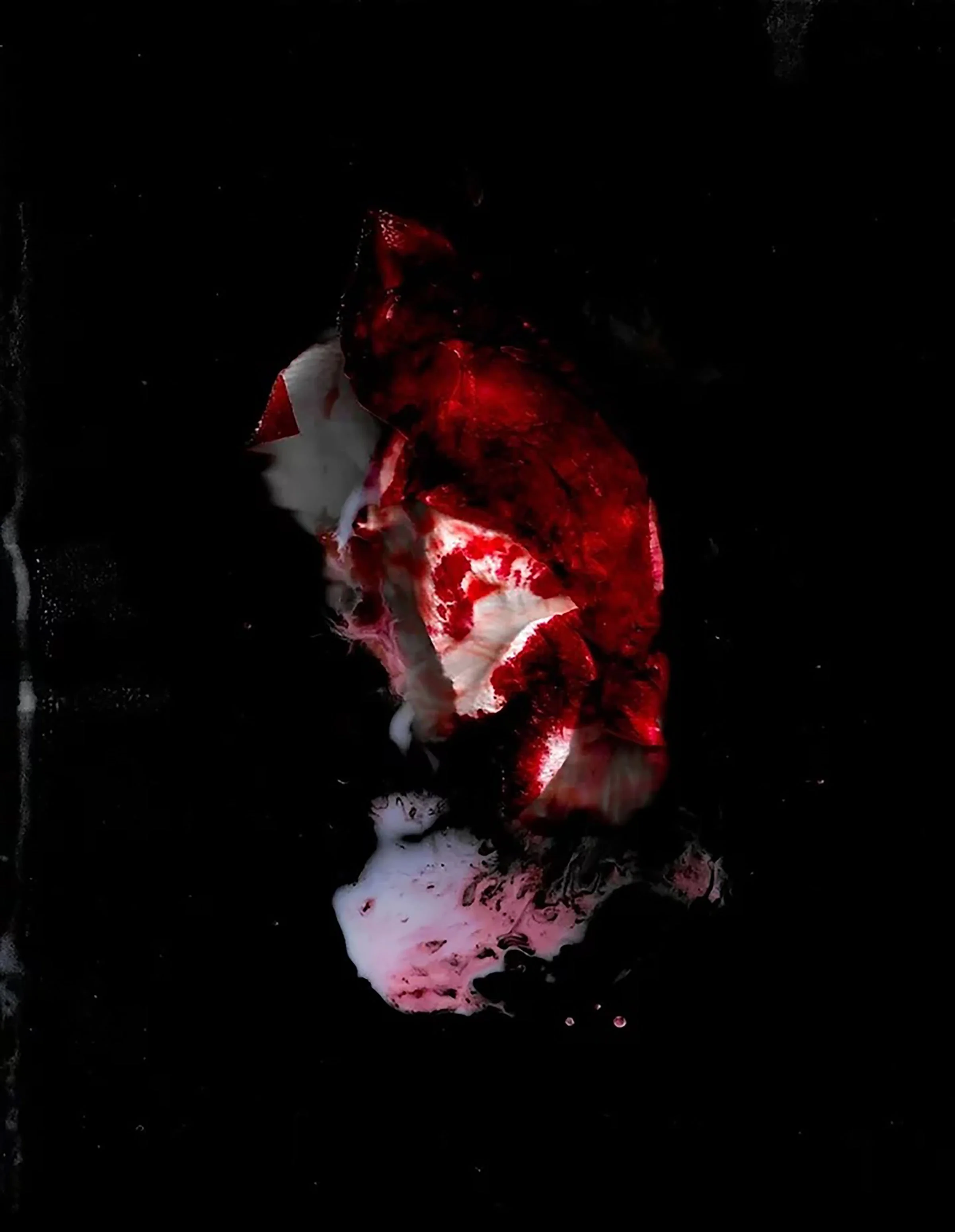 chelsea summers, milk & blood 2.jpg