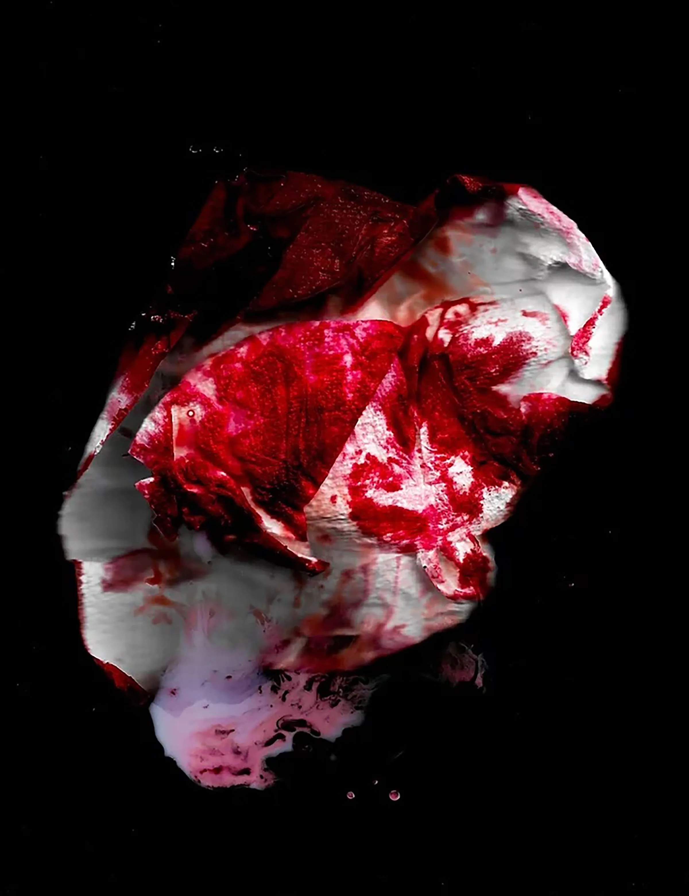 chelsea summers, milk & blood.jpg