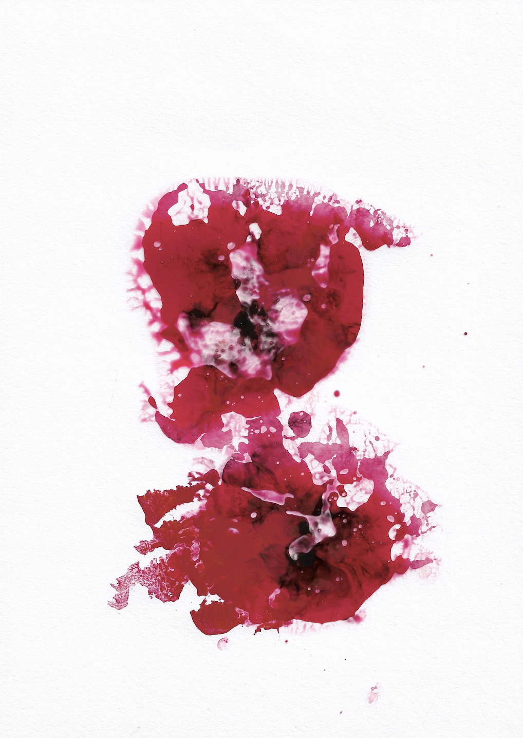 Screenshot 2023-08-18 at 18.40.07.png