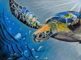 Thursday Night: Sip &amp; Paint