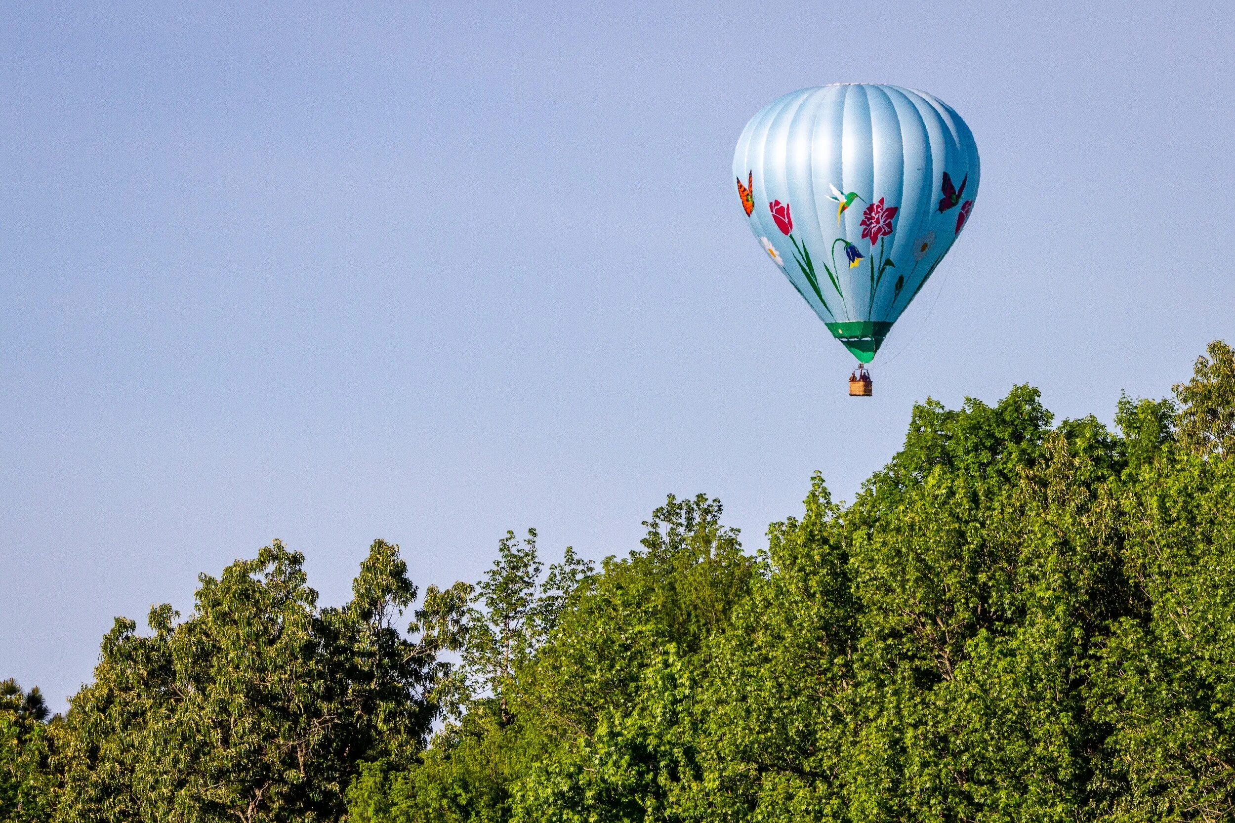 Ten Haiku on Wishes ©