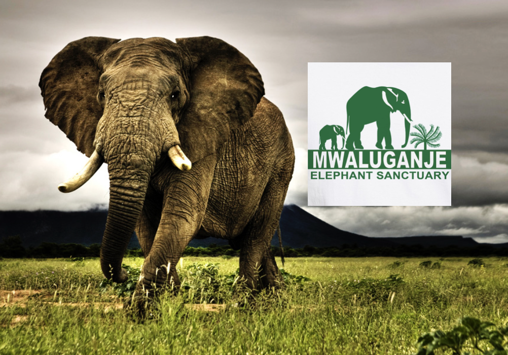 Coastal habitat preservation and restoration