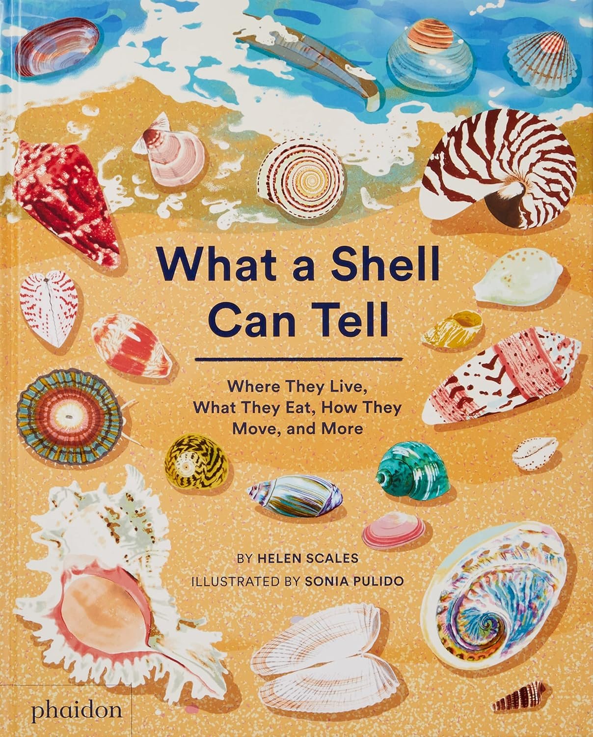 What a Shell Can Tell.jpeg