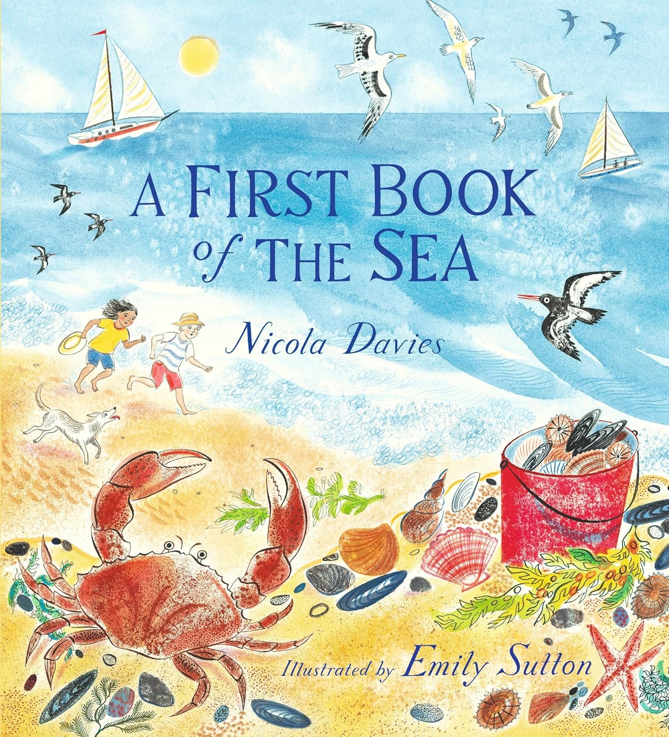 A First Book of the Sea.jpeg