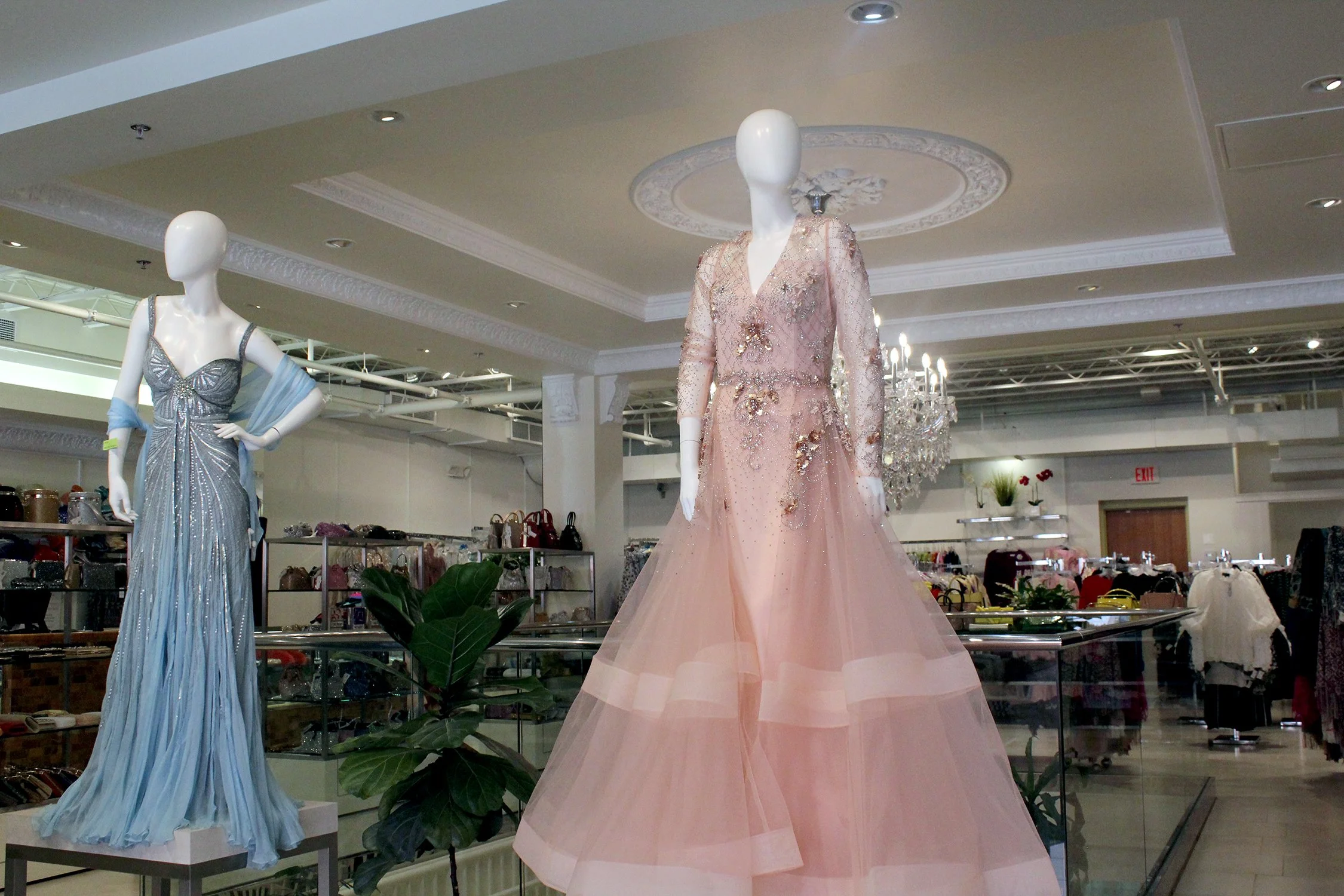 Main_PinkGala_15x10.jpg