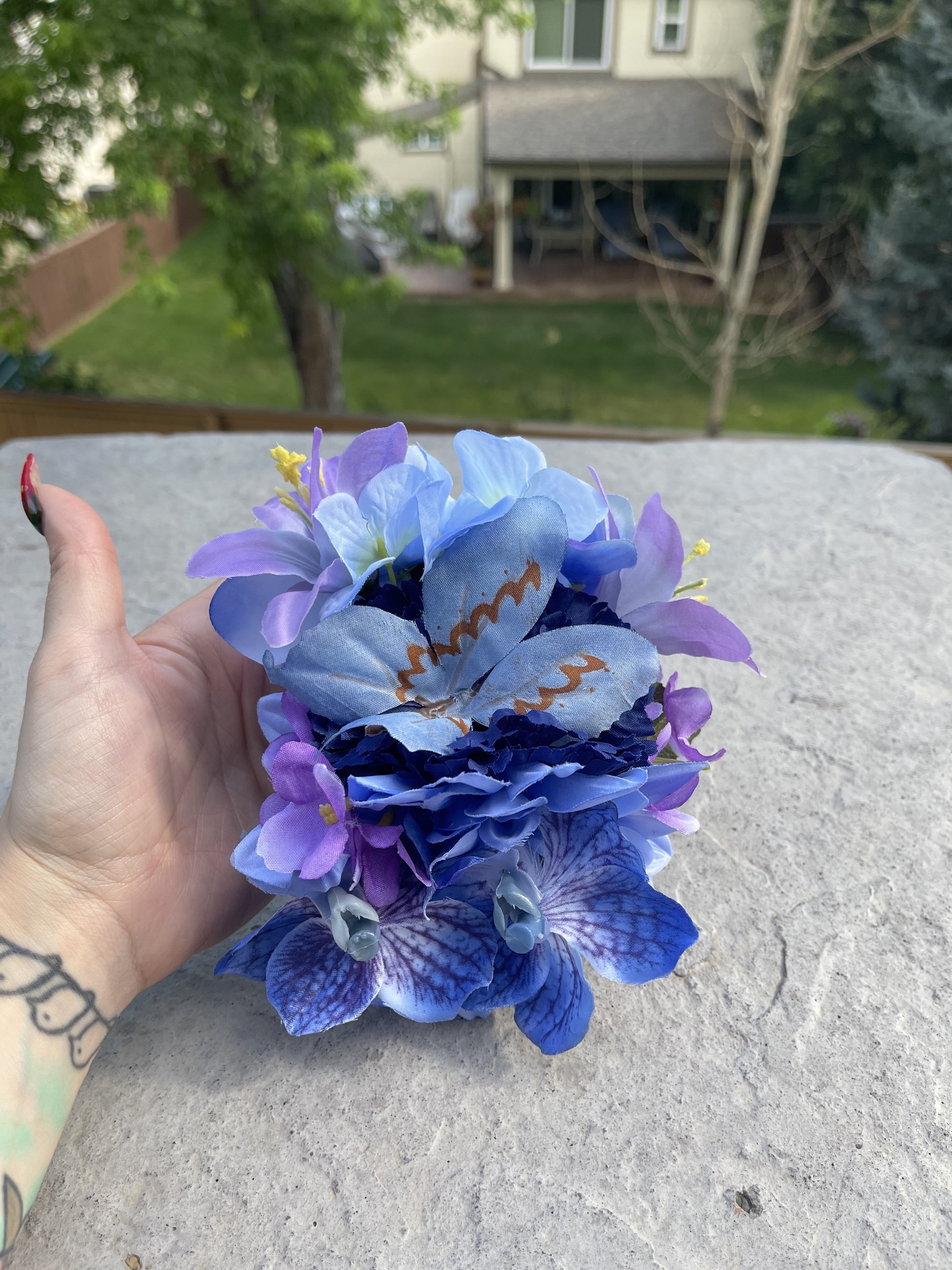 BashfulBlues(6).jpeg