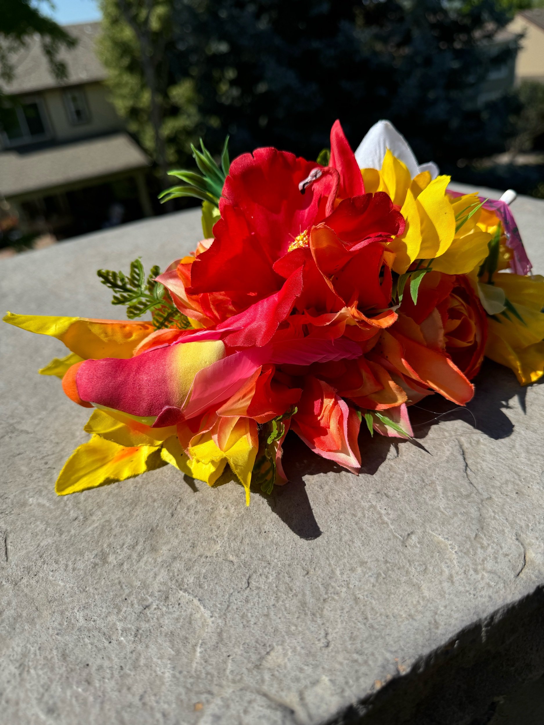 A381C884-5A64-4297-810C-DF7B89065754.jpeg