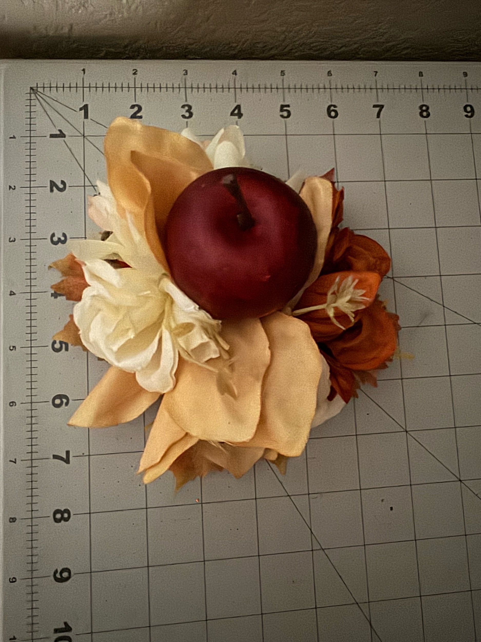 008F2D89-6A72-4966-9C66-29A8FFC54BF8.jpeg
