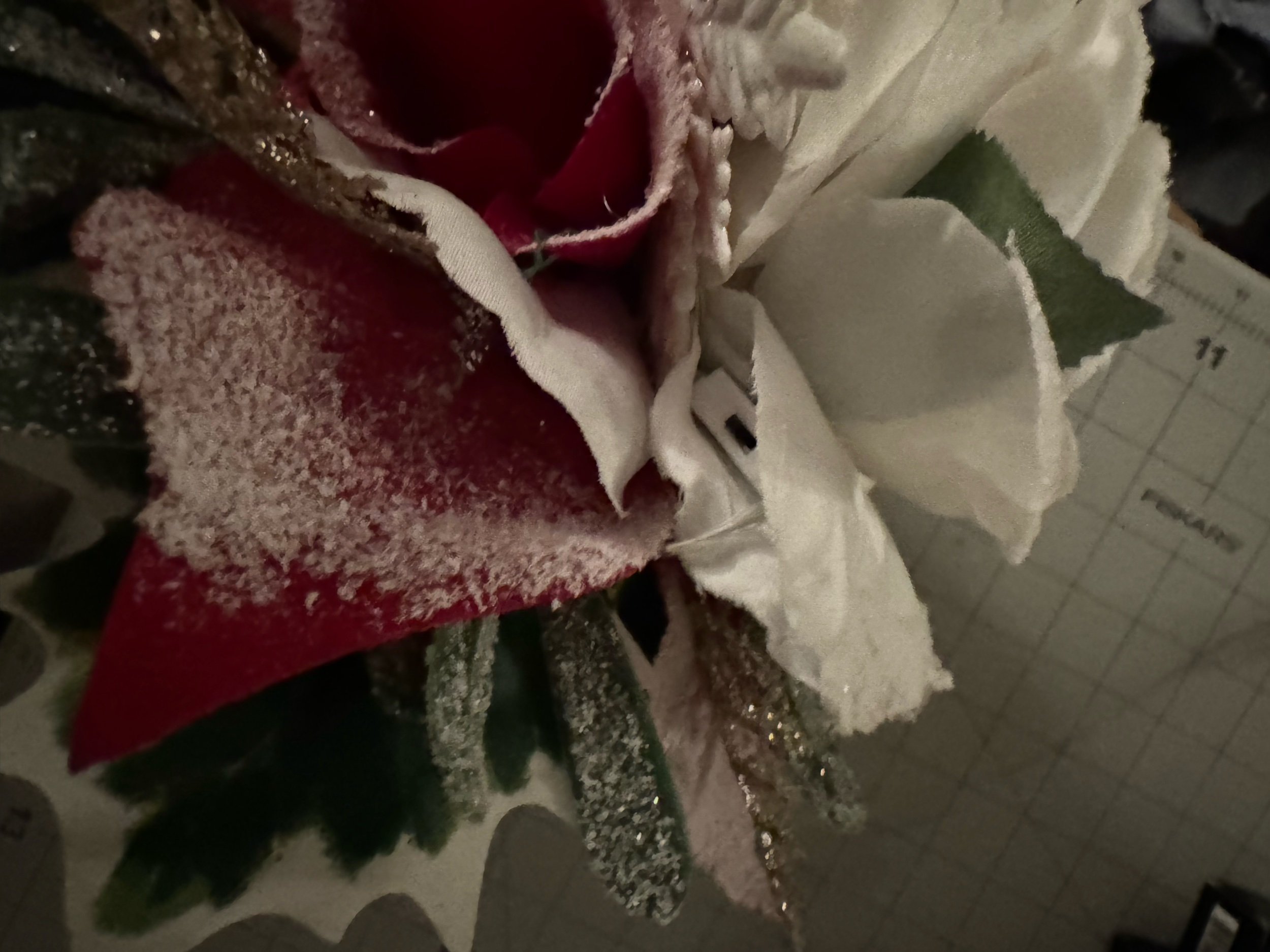86C3B706-48BD-40DB-A479-F484D7858E1D.jpeg