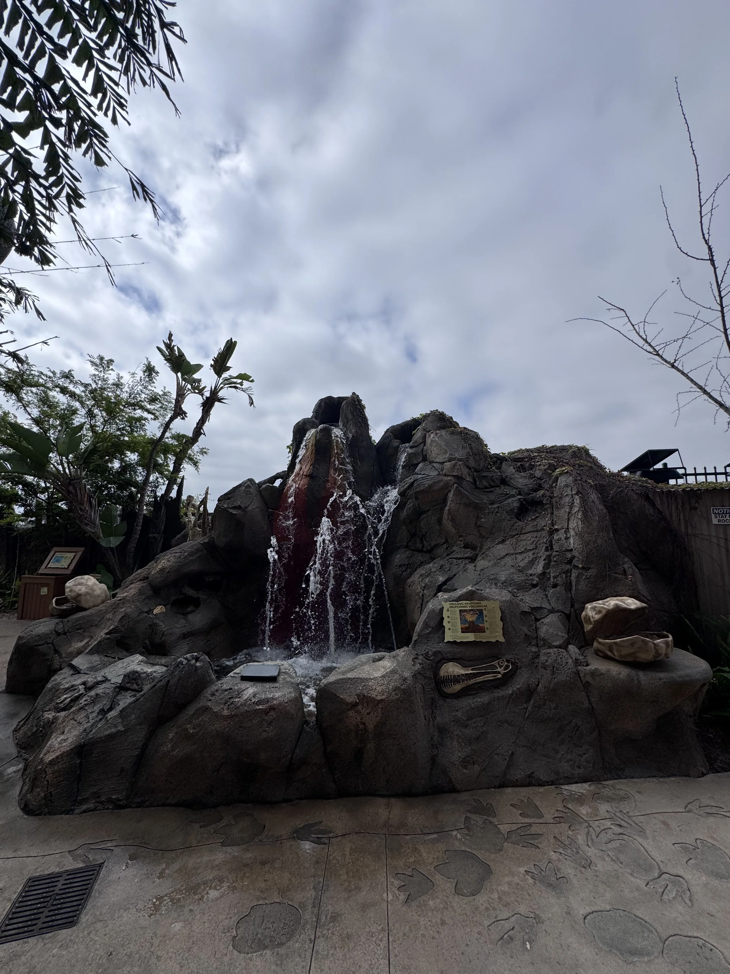 IMG_4878.jpeg