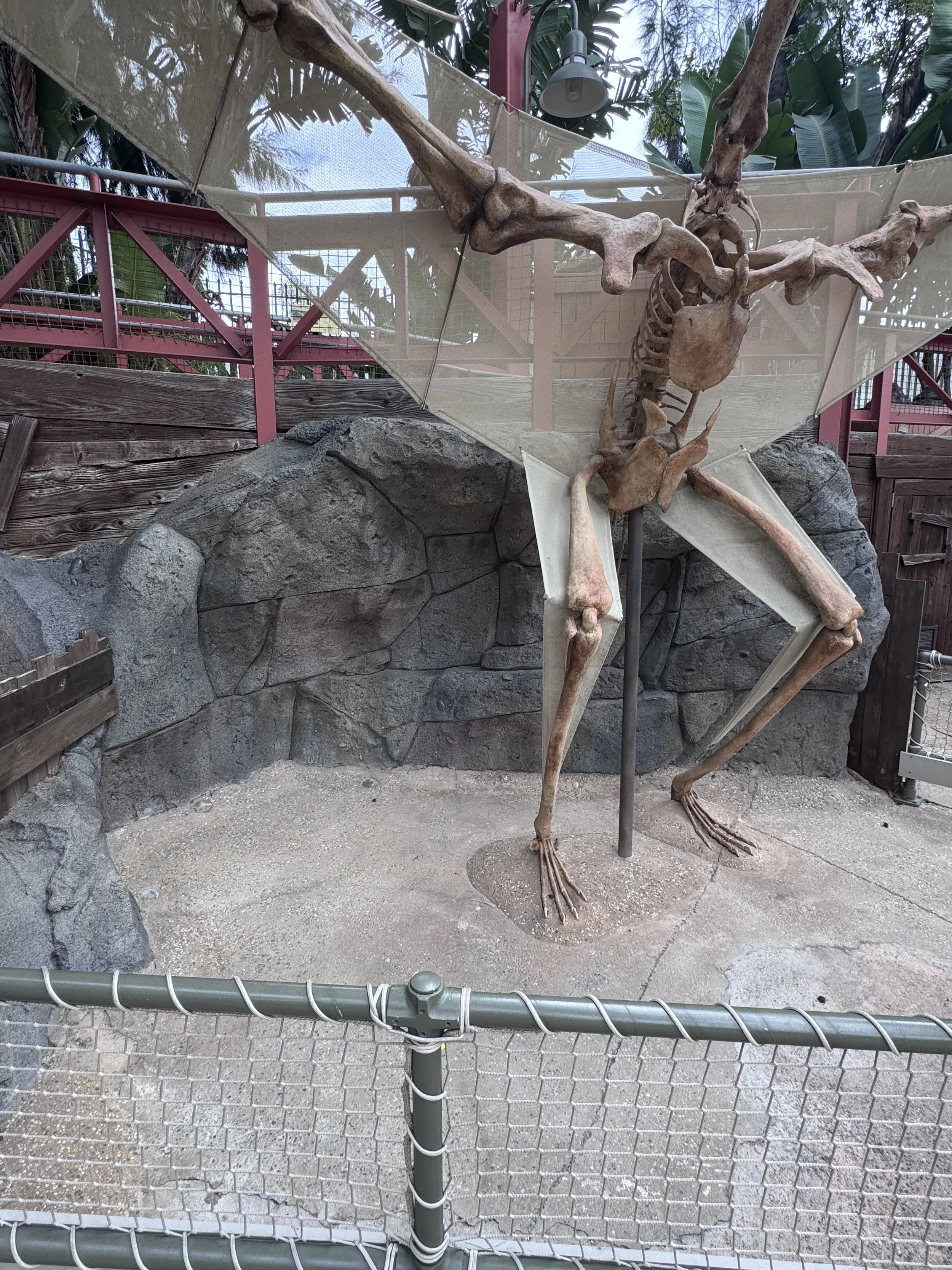 IMG_4859.jpeg