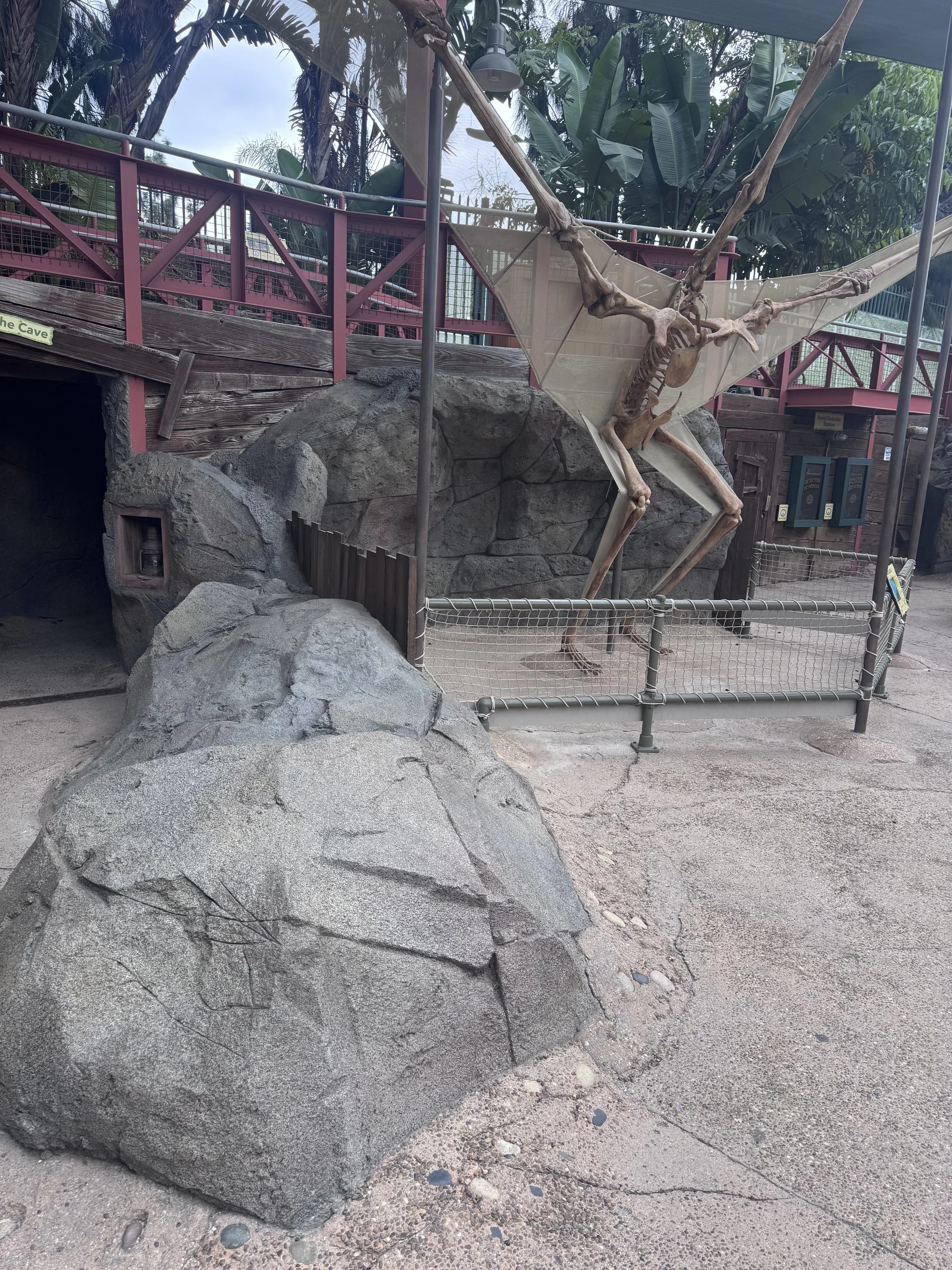 IMG_4858.jpeg