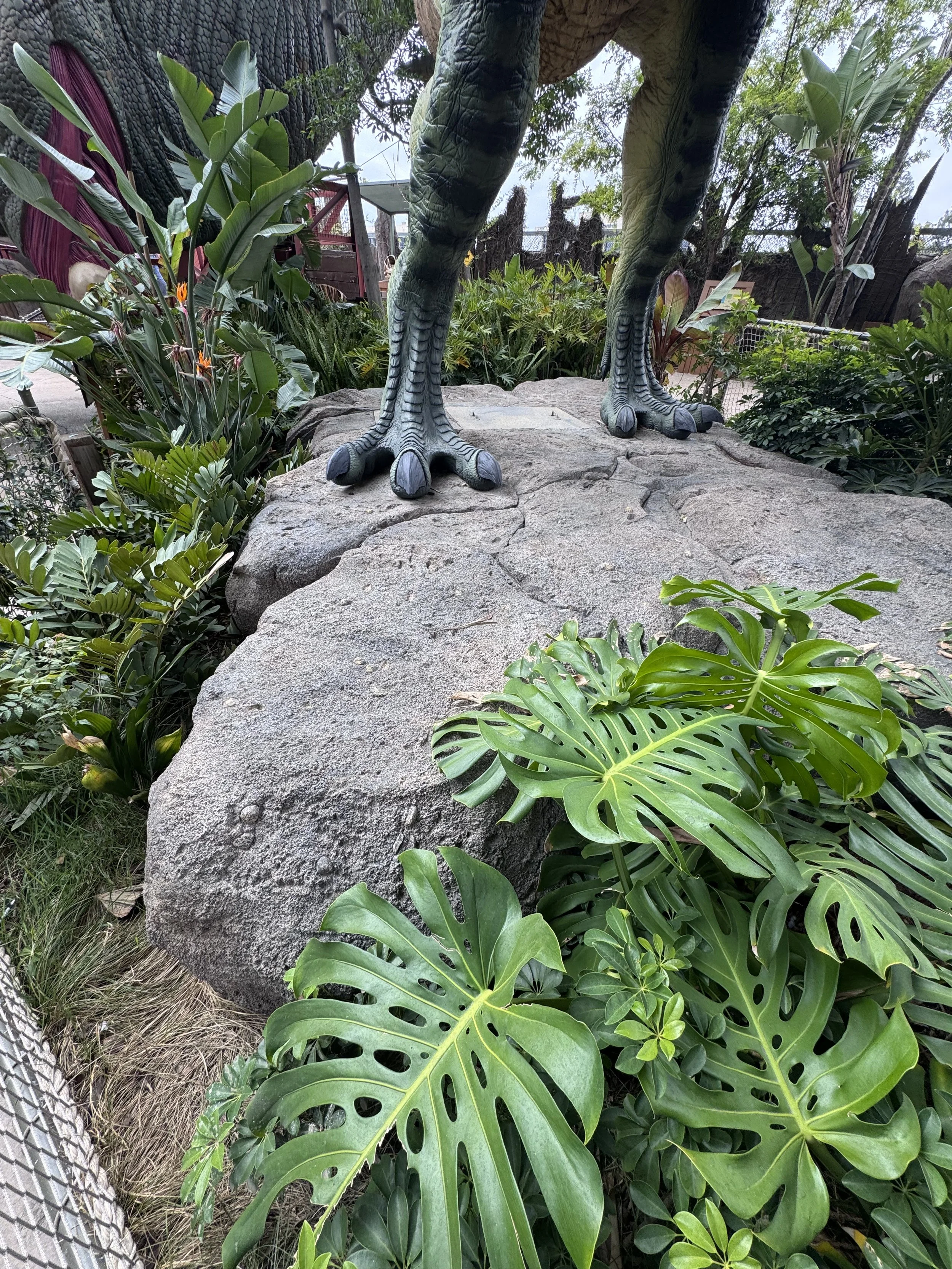 IMG_4857.jpeg