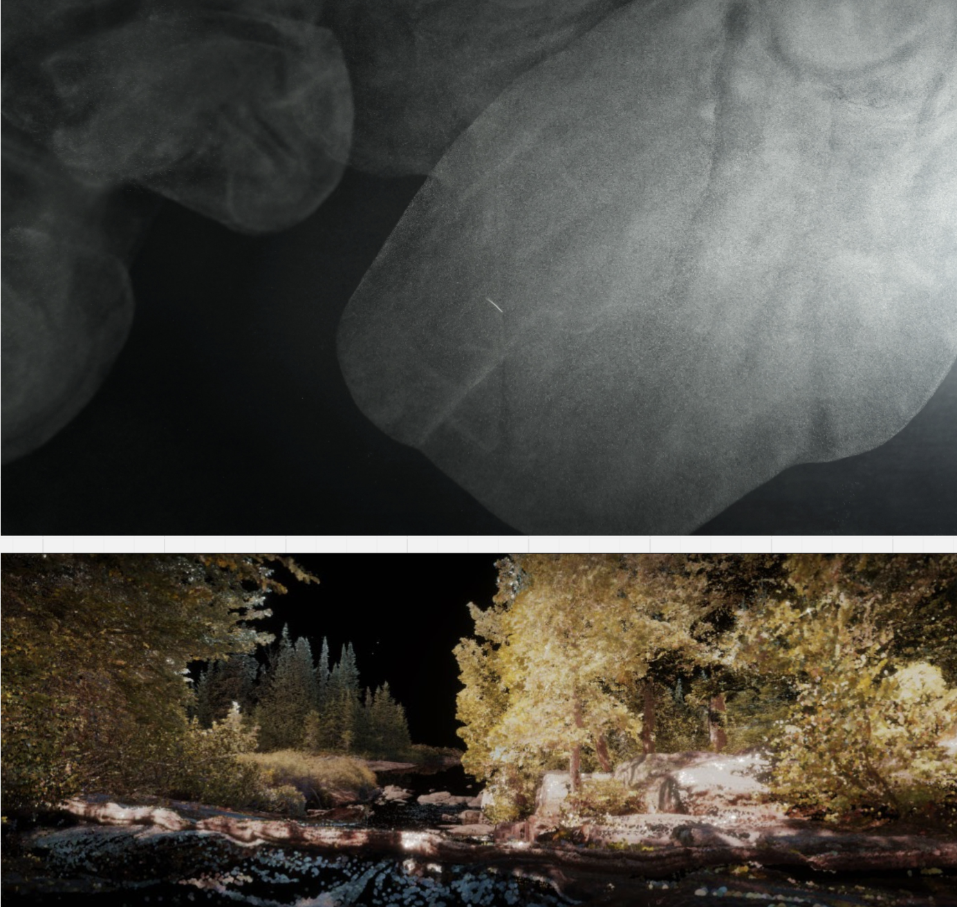 Maya Lin, Ghost Forest, detail, 2021.