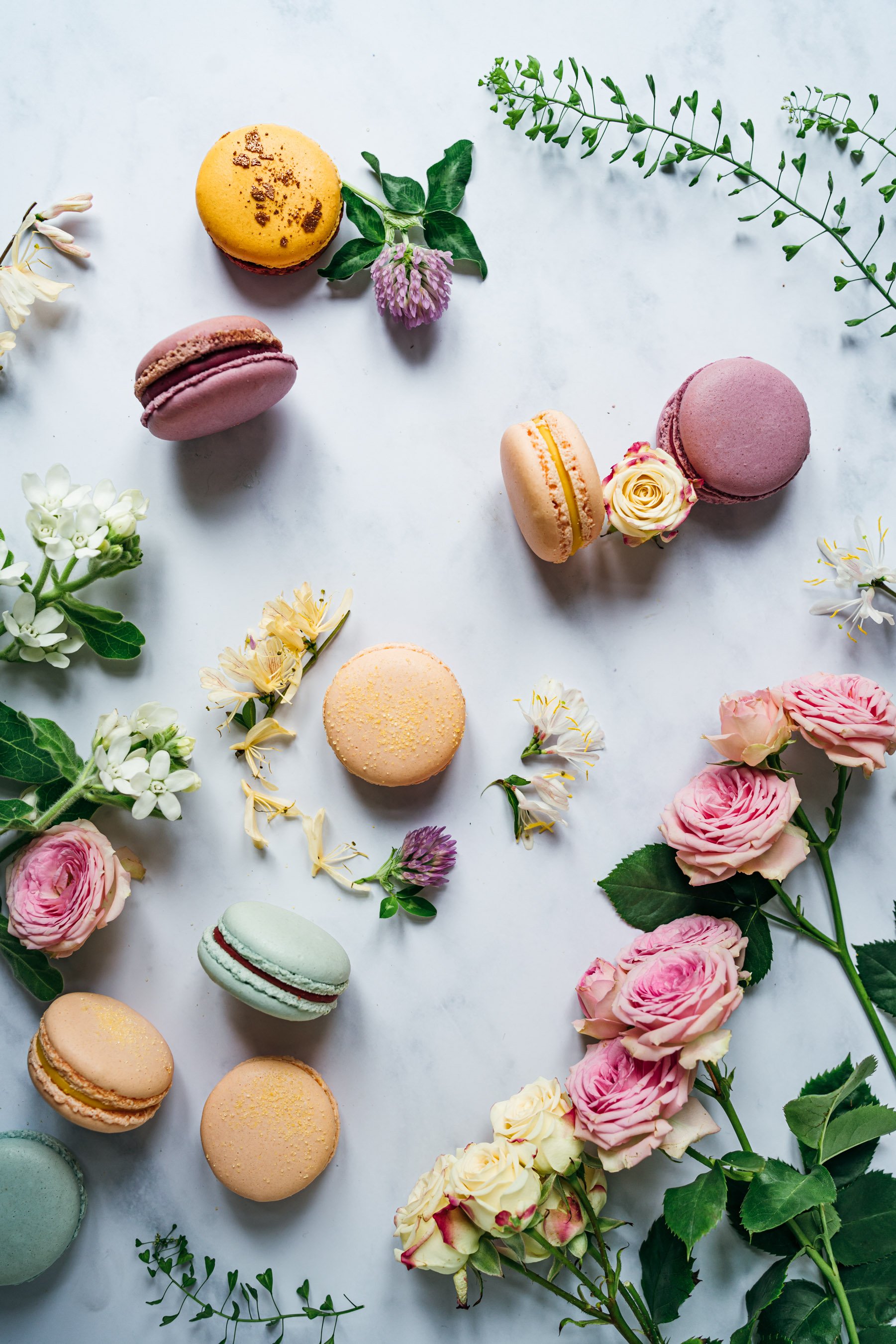 macarons001.jpg