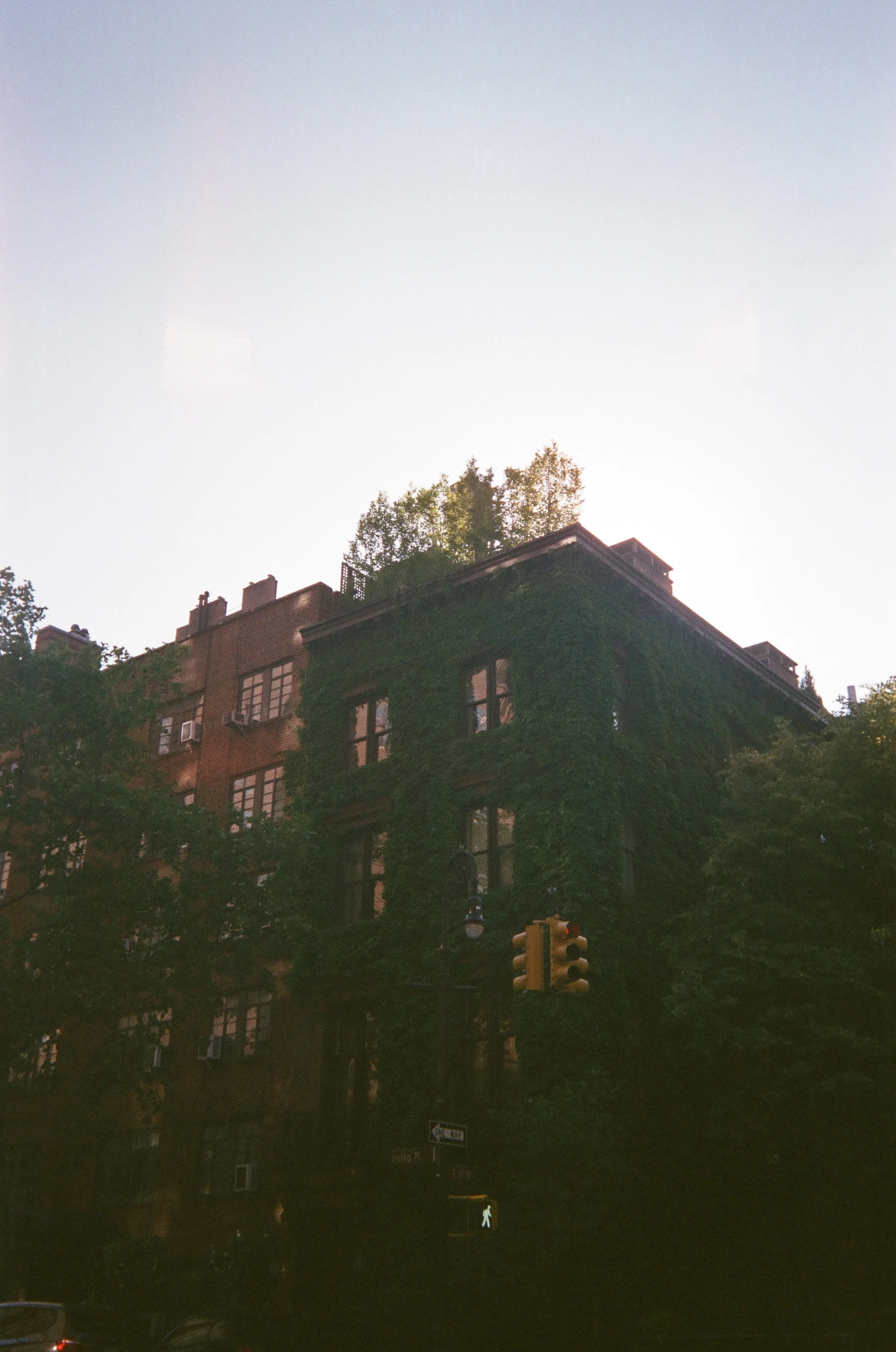 000081250036.jpg