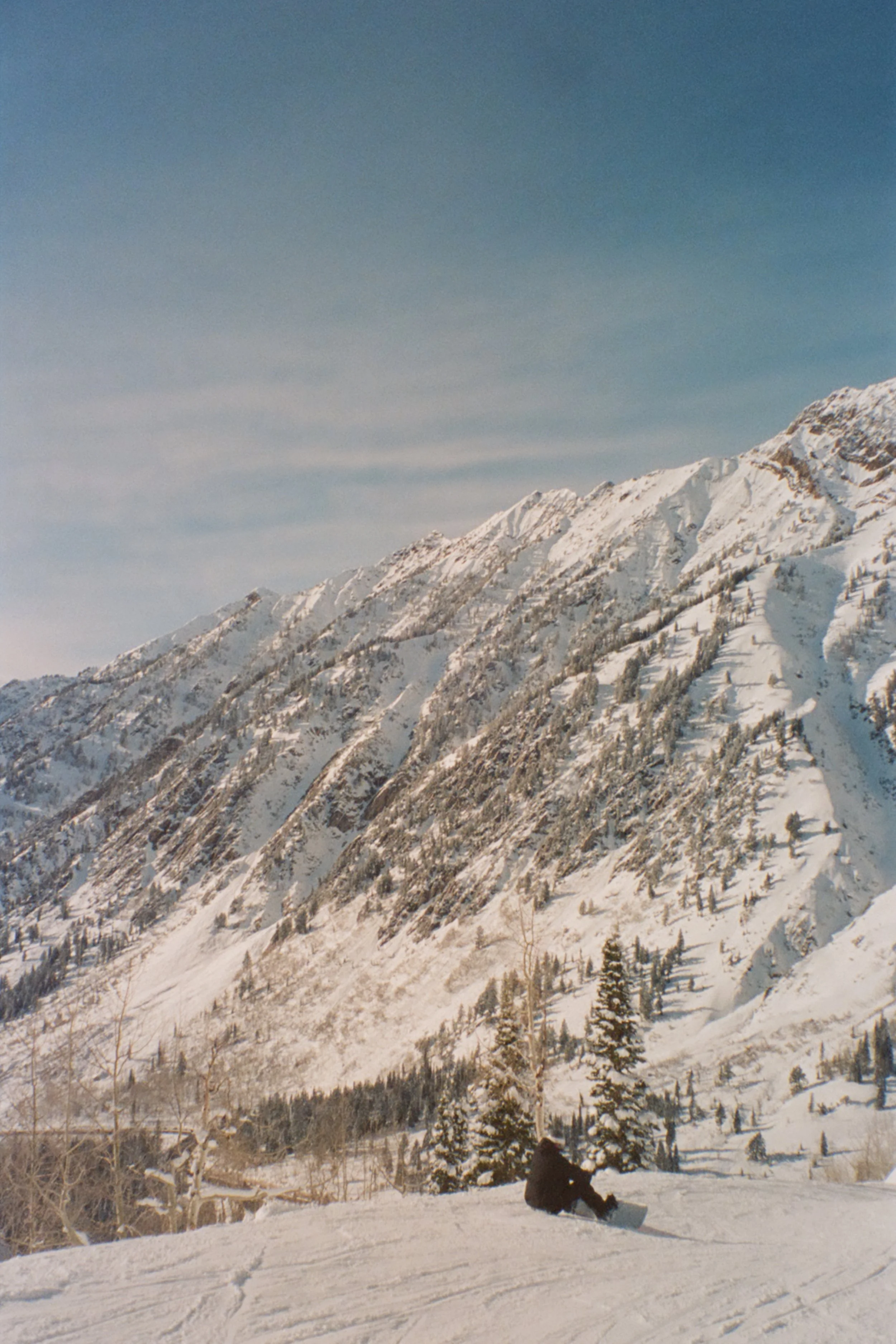 000020060021.jpg