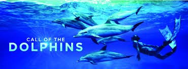 Wortham Giant Screen 3D