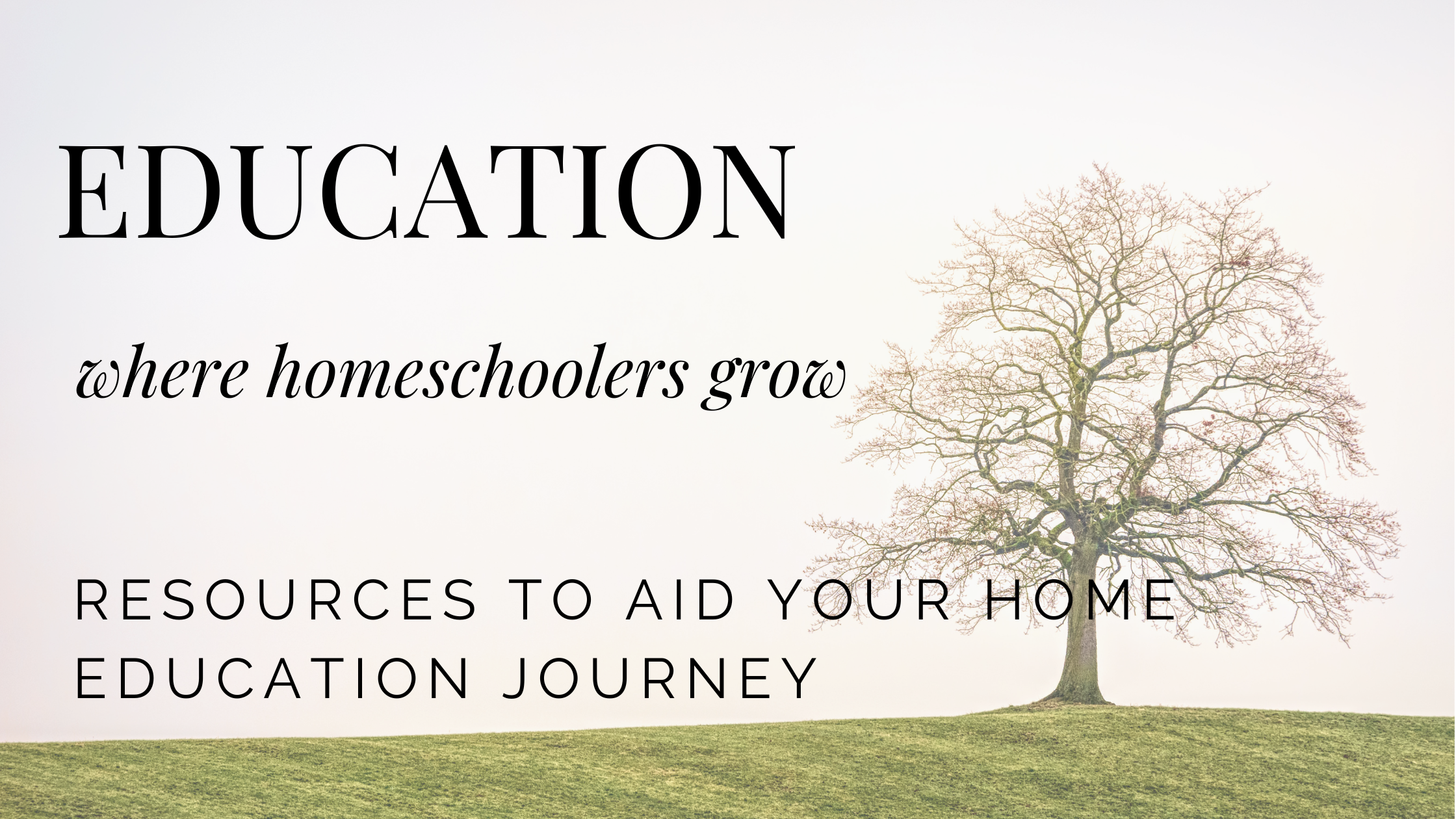 enrichments card(5).png