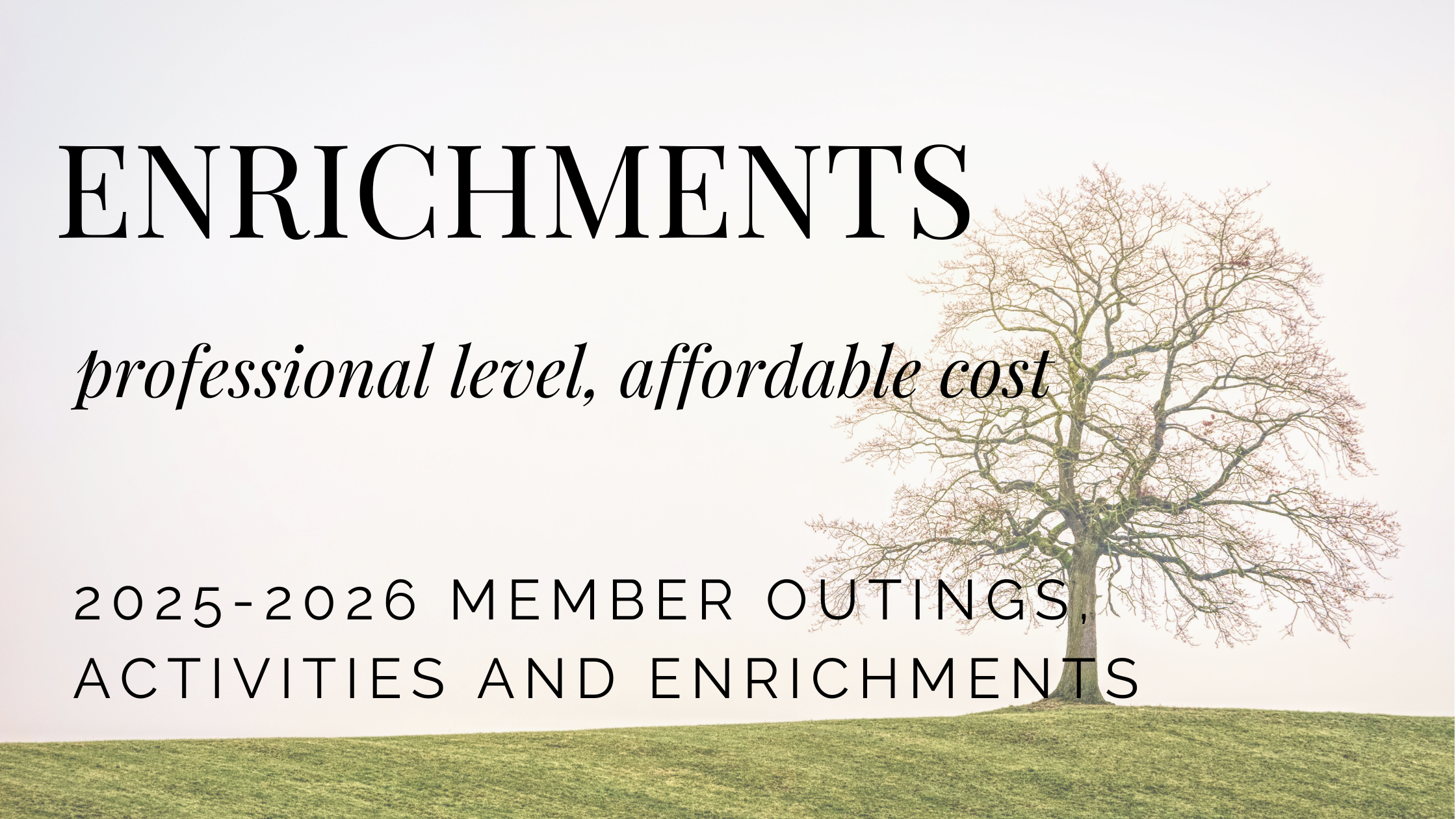 enrichments card(2).png