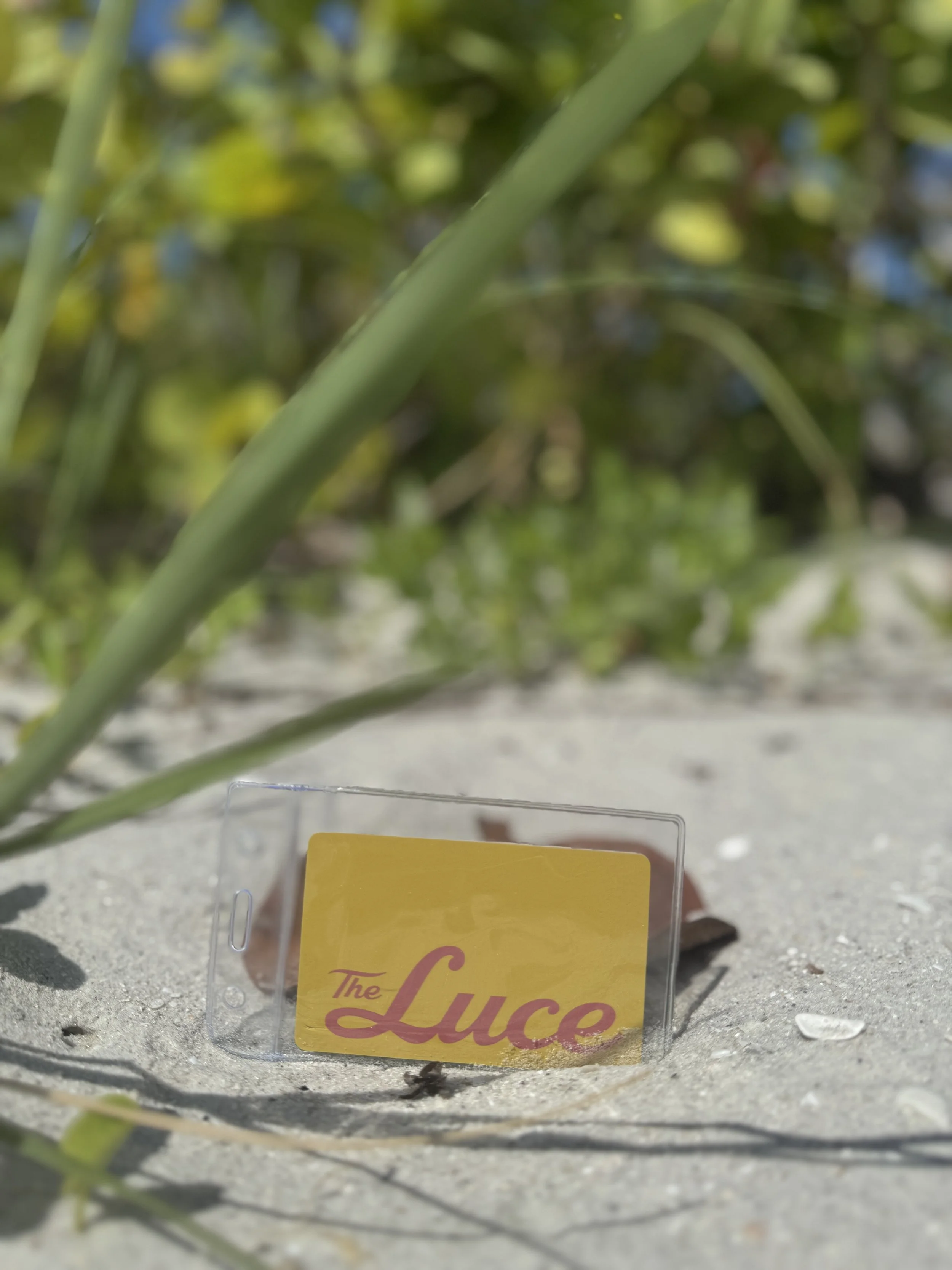 What a Great Brand Actually Feels Like (A Day at The Luce St. Pete Beach)