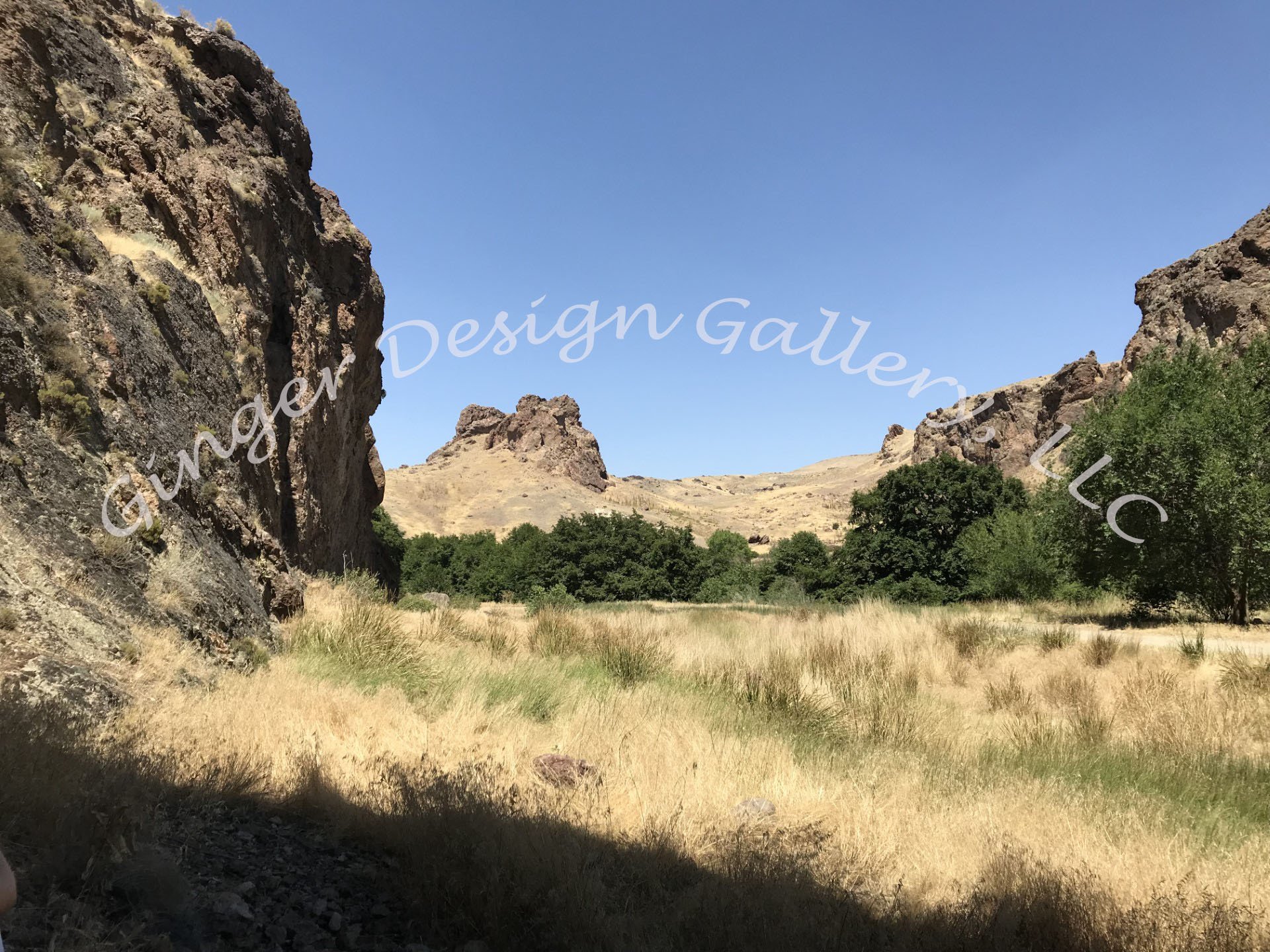 Succor Creek Canyon 2 Watermarked.jpg