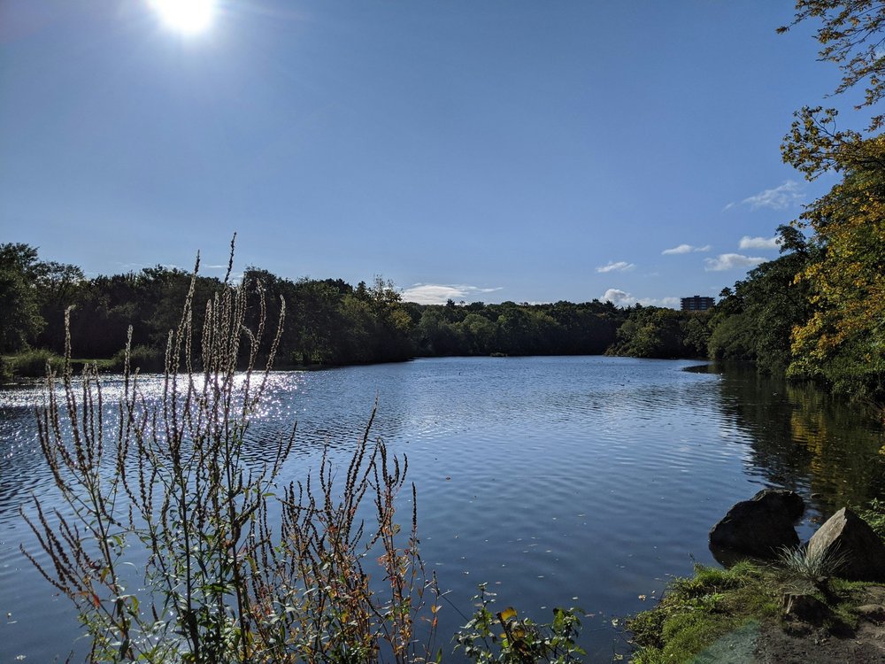 Highams Park Lake on a sunny autumn day, close to Regal by BAR Homes in E4